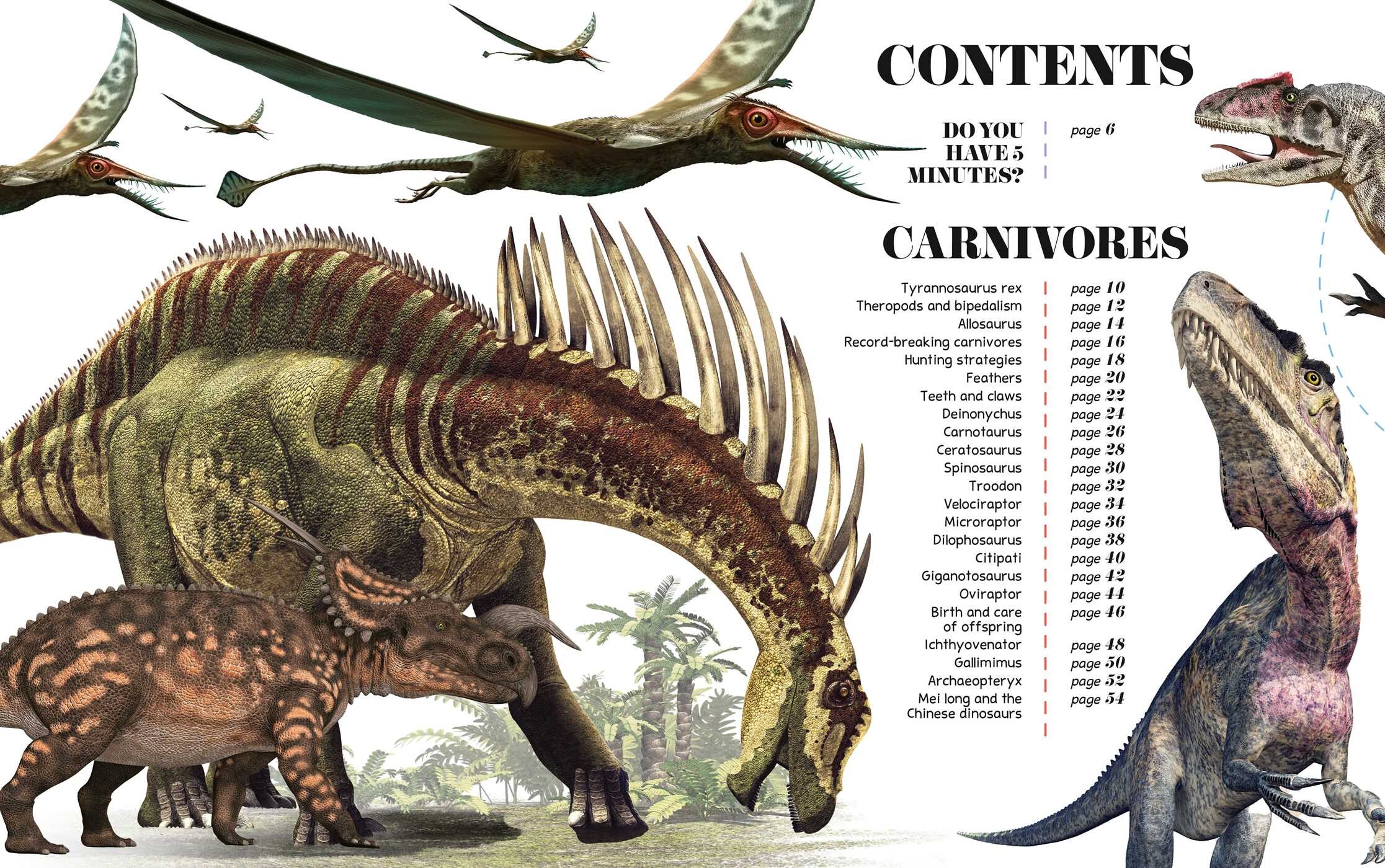 Bite-Sized Facts: Dinosaurs