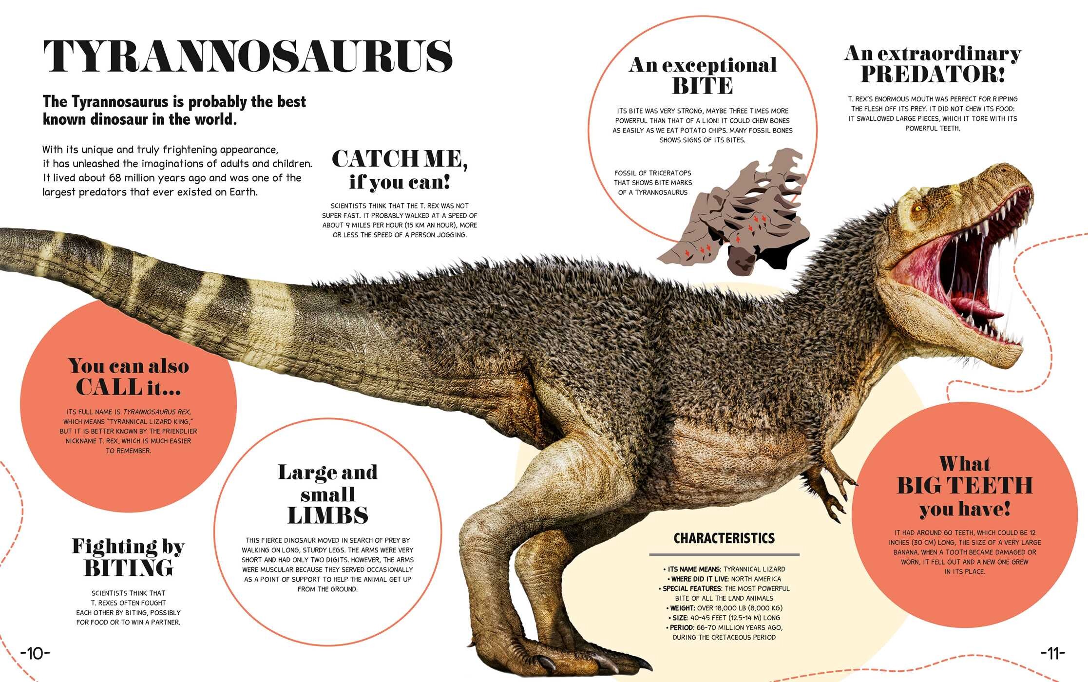 Bite-Sized Facts: Dinosaurs
