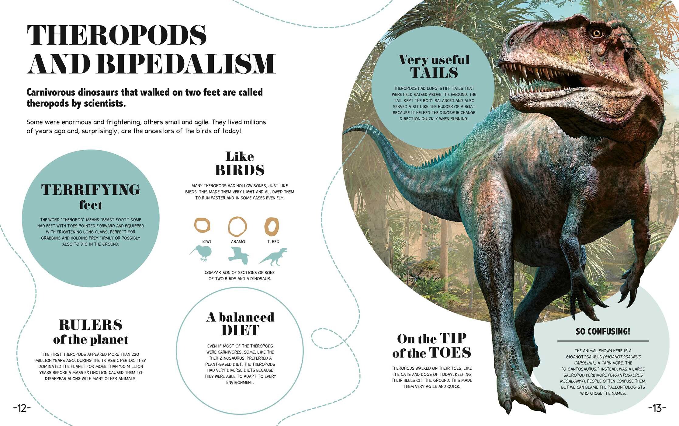 Bite-Sized Facts: Dinosaurs