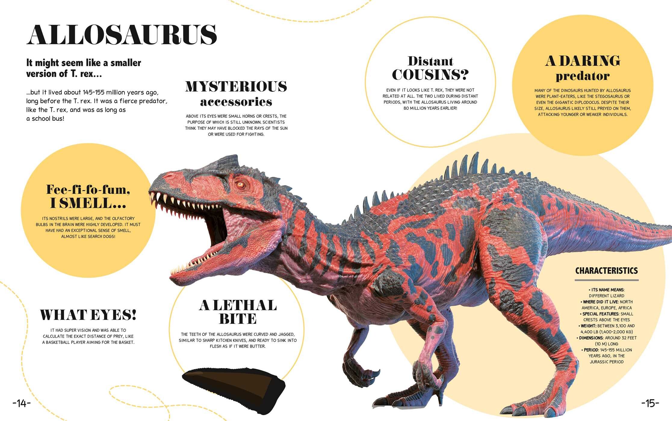 Bite-Sized Facts: Dinosaurs