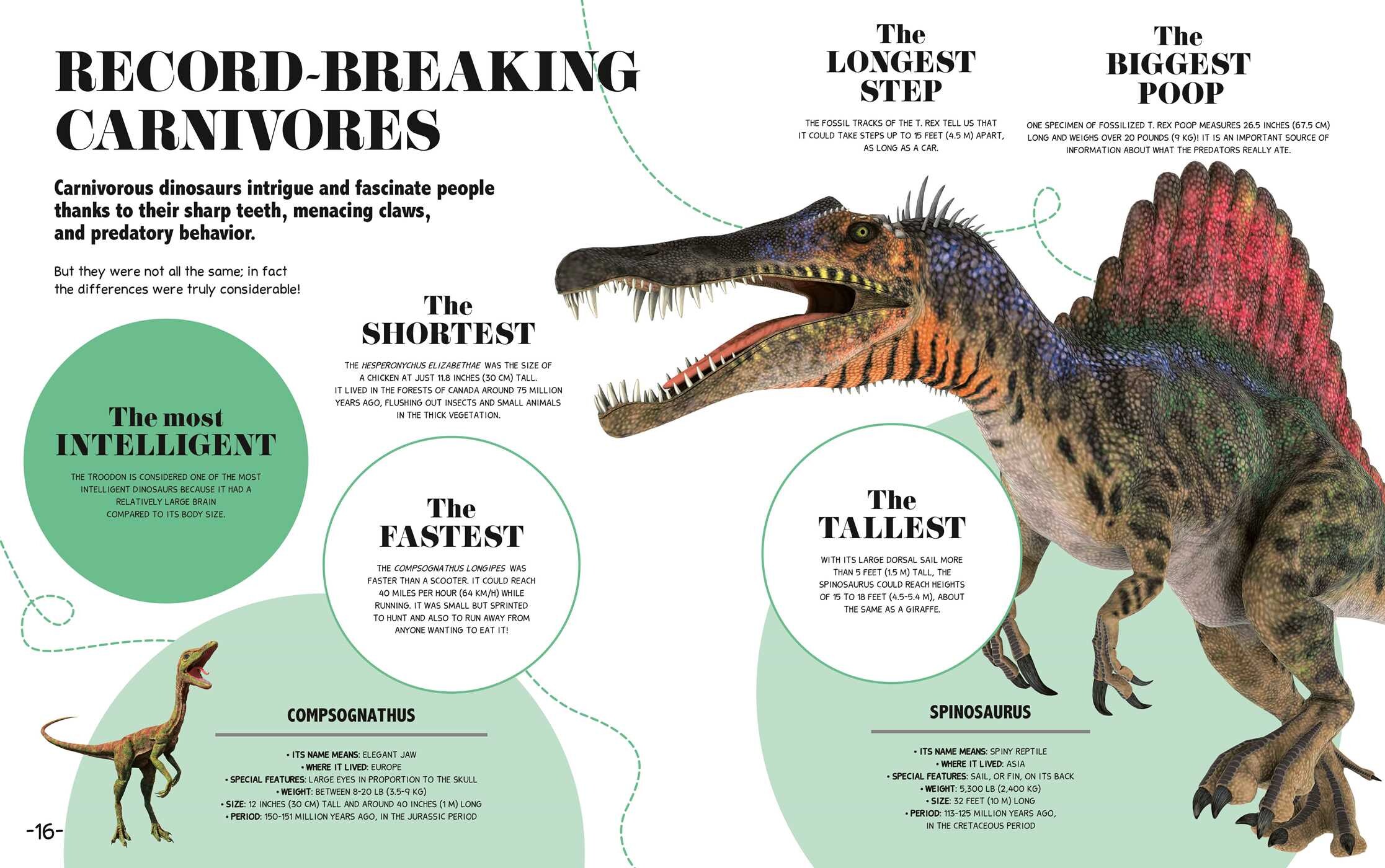 Bite-Sized Facts: Dinosaurs
