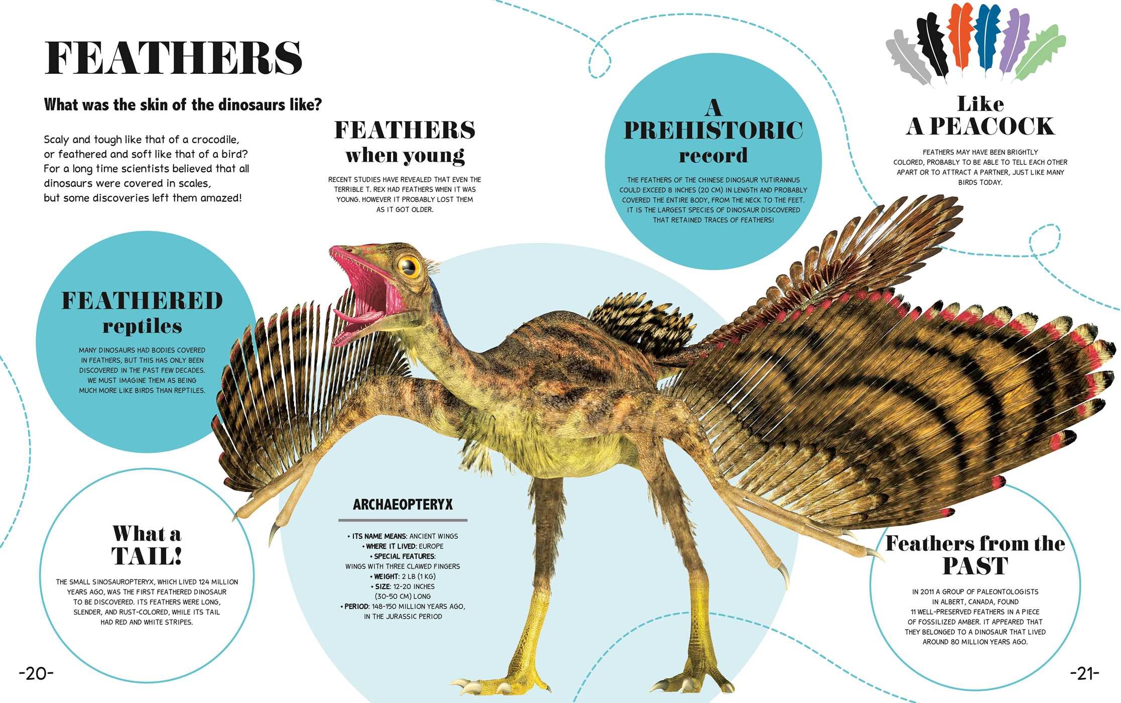 Bite-Sized Facts: Dinosaurs