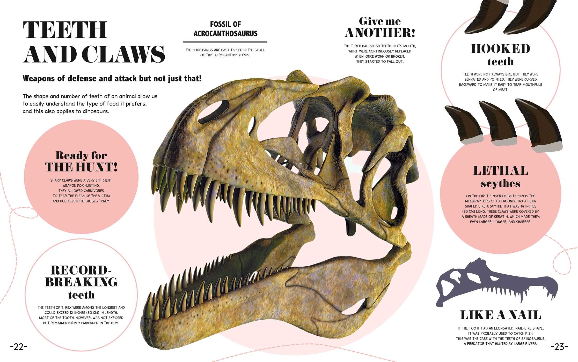 Bite-Sized Facts: Dinosaurs