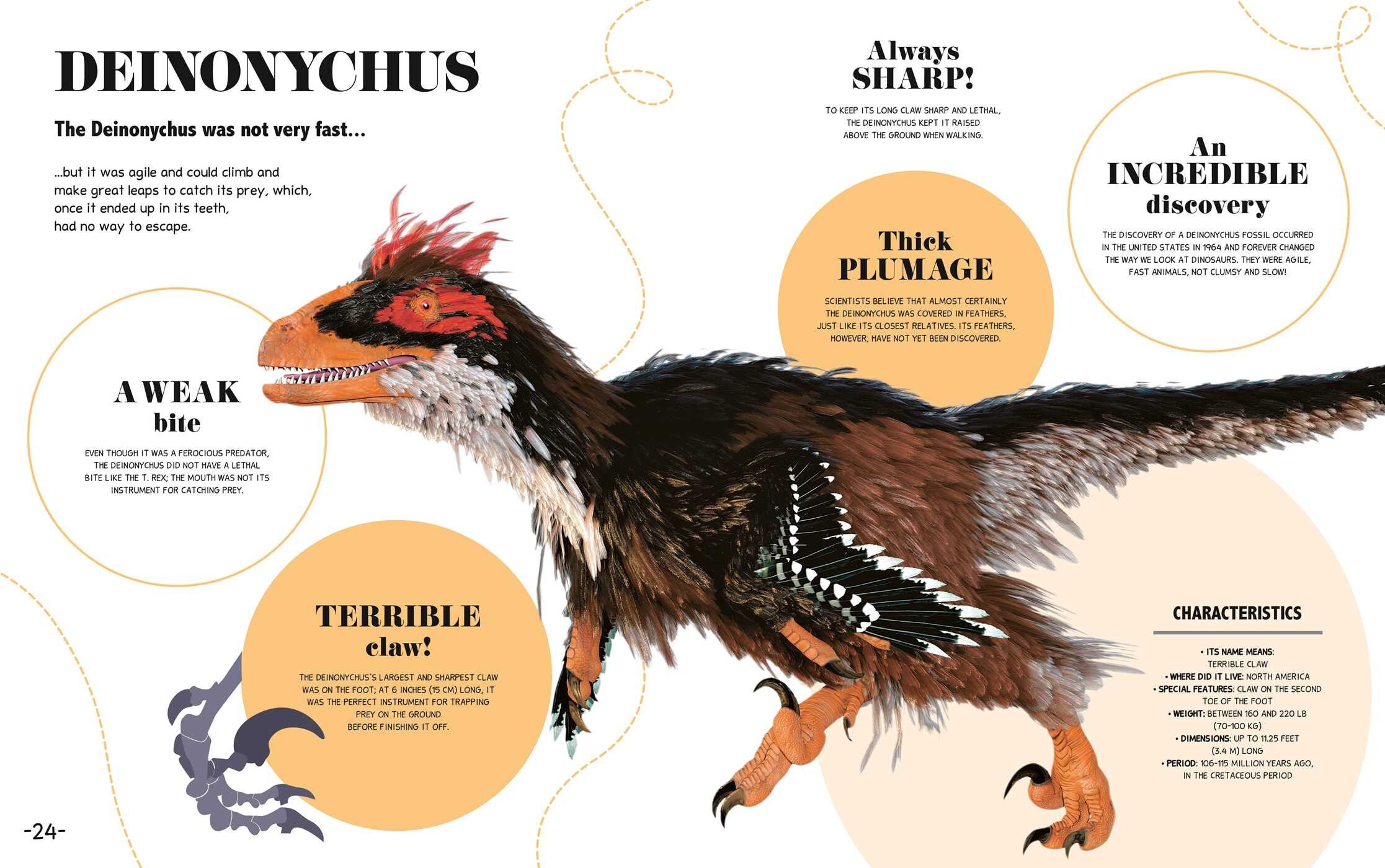 Bite-Sized Facts: Dinosaurs