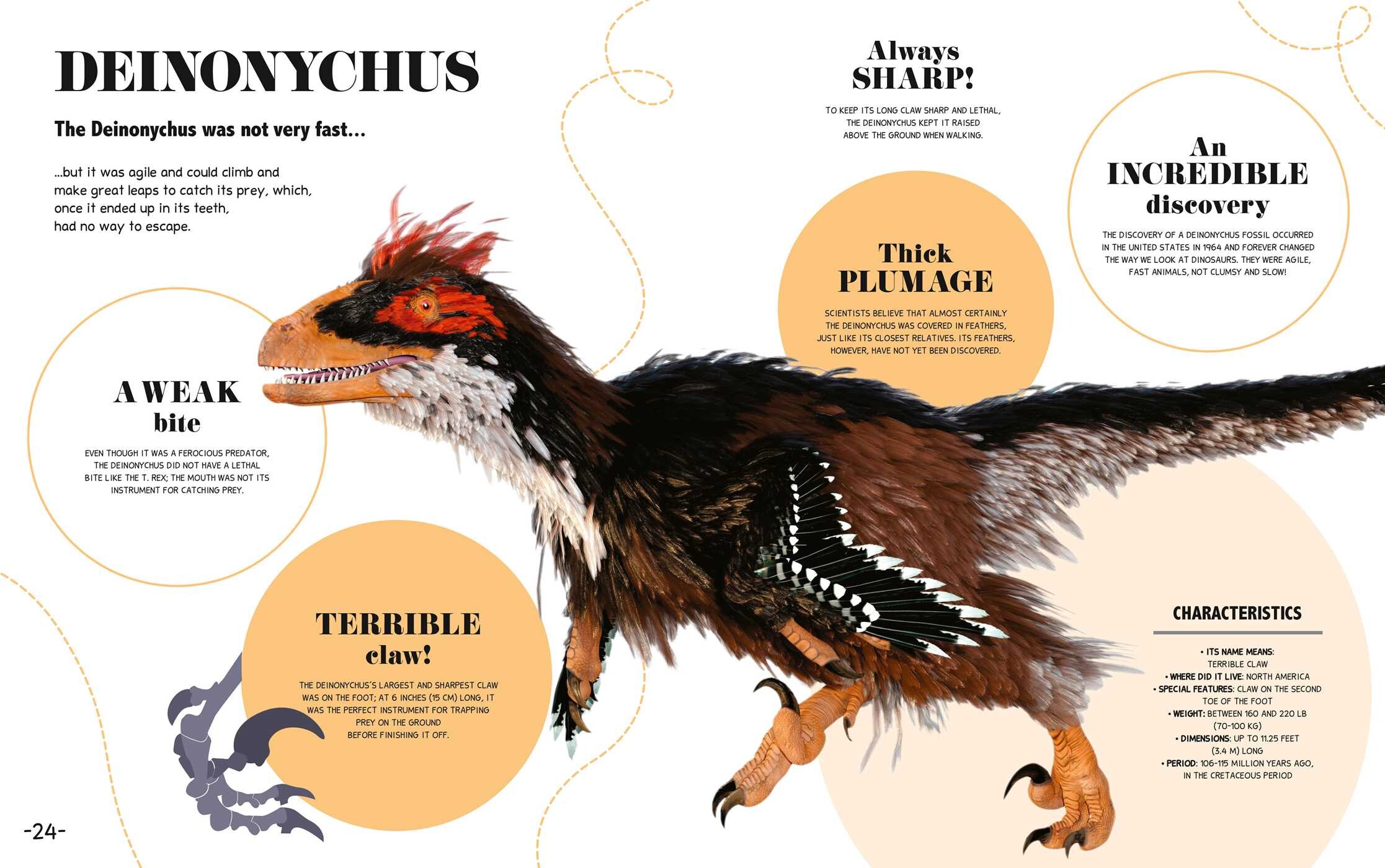 Bite-Sized Facts: Dinosaurs
