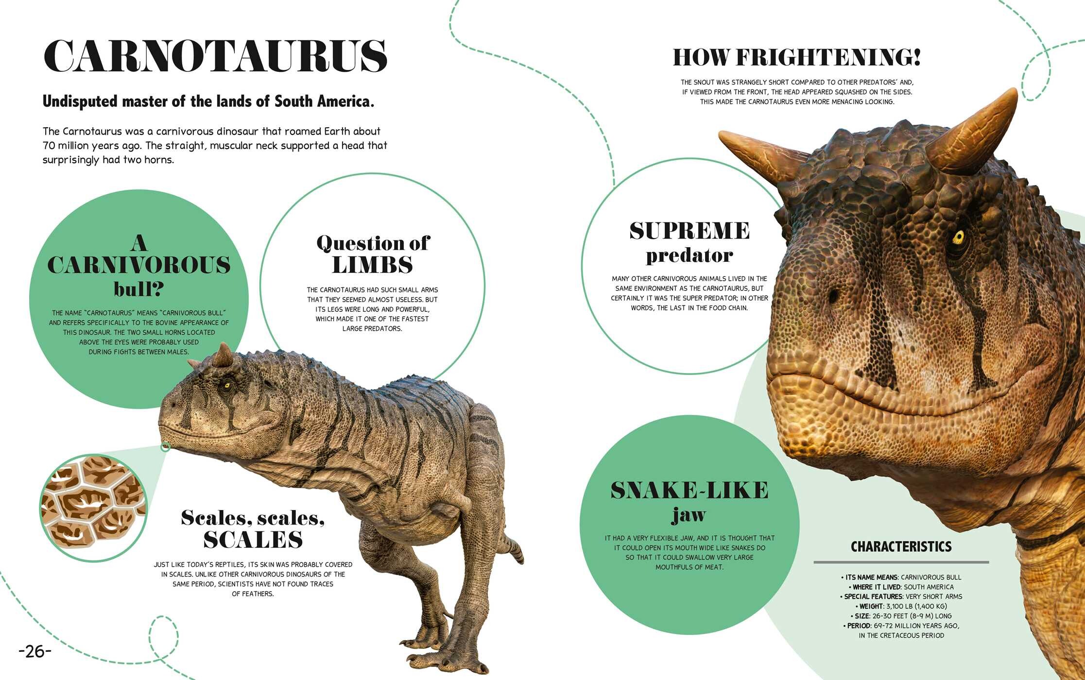 Bite-Sized Facts: Dinosaurs