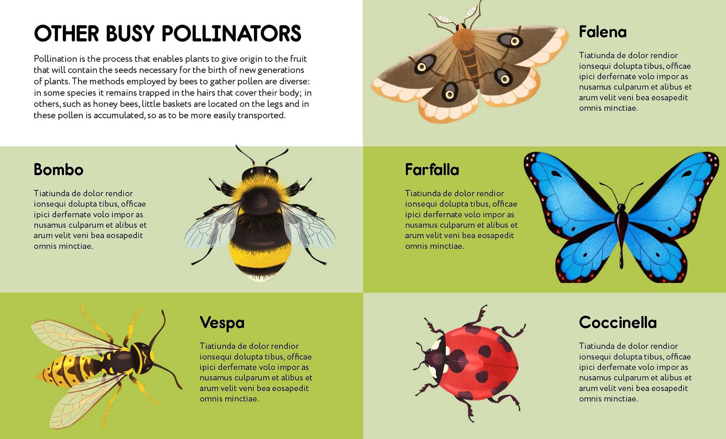 Small Steps, Big Discoveries: Bees