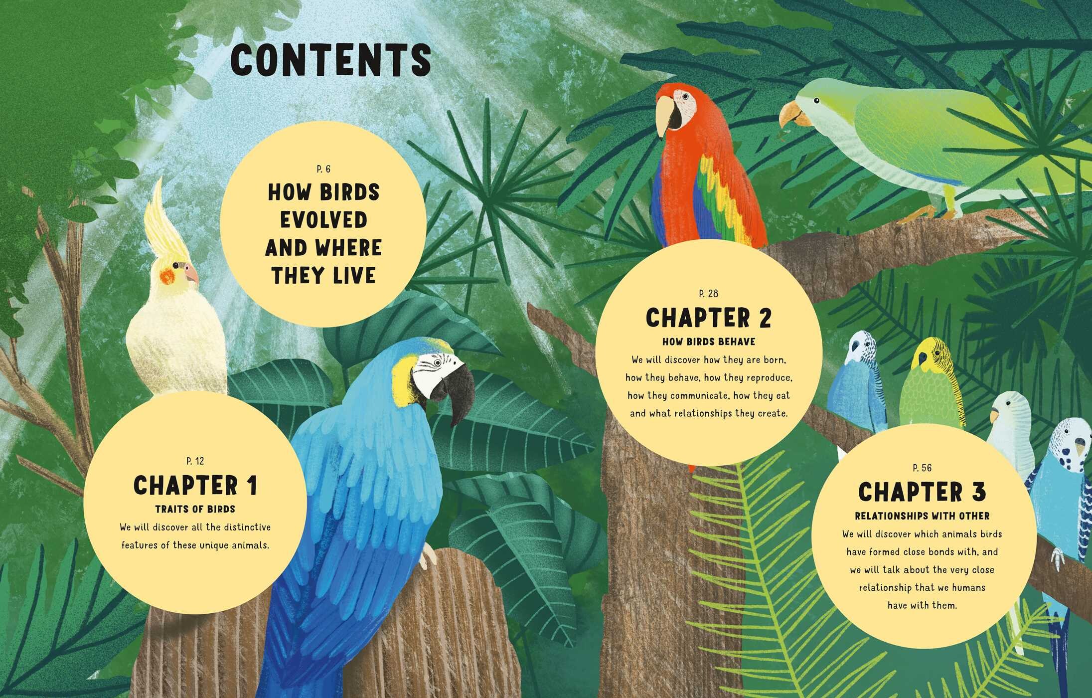 The World of Birds