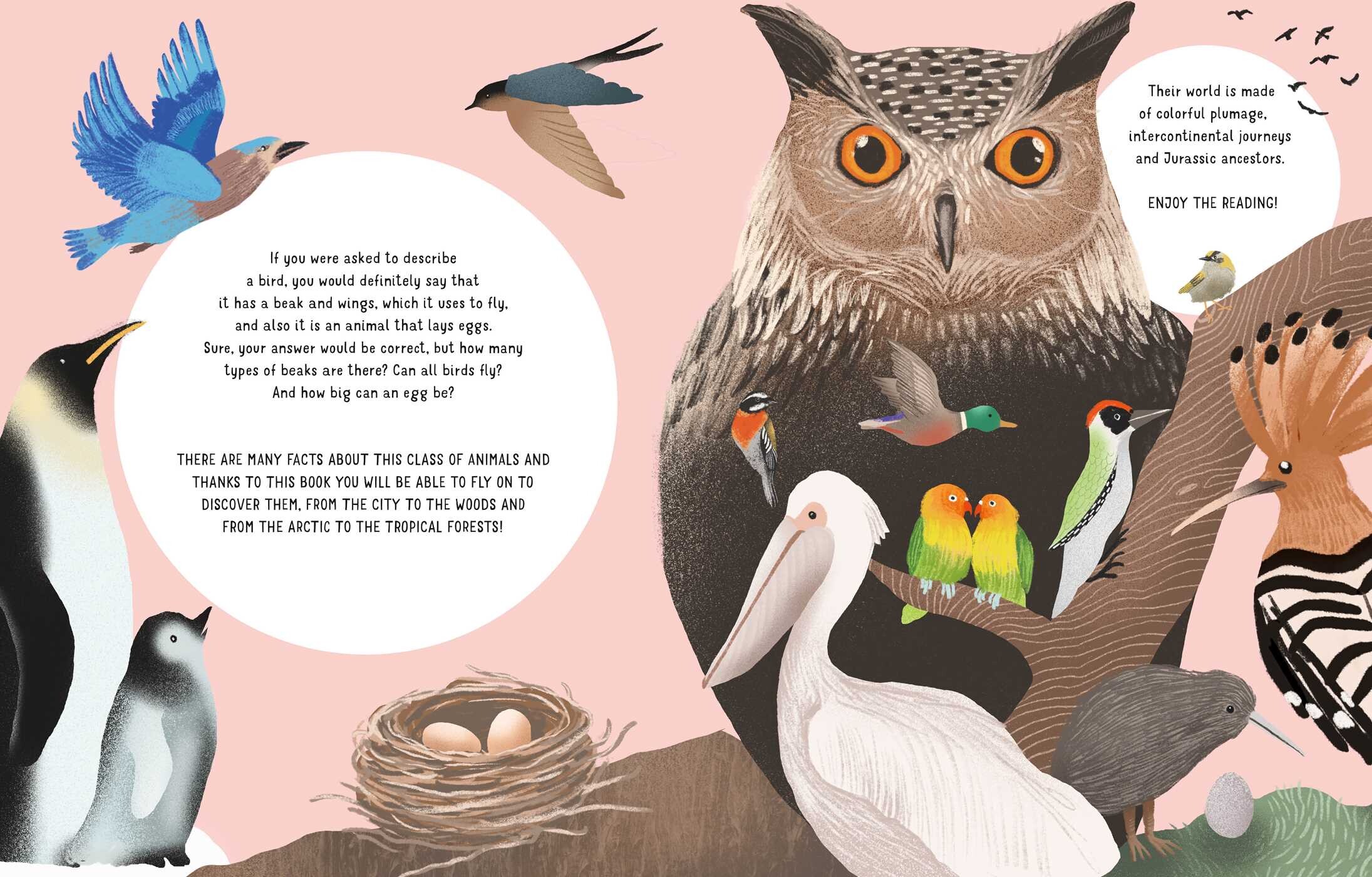 The World of Birds
