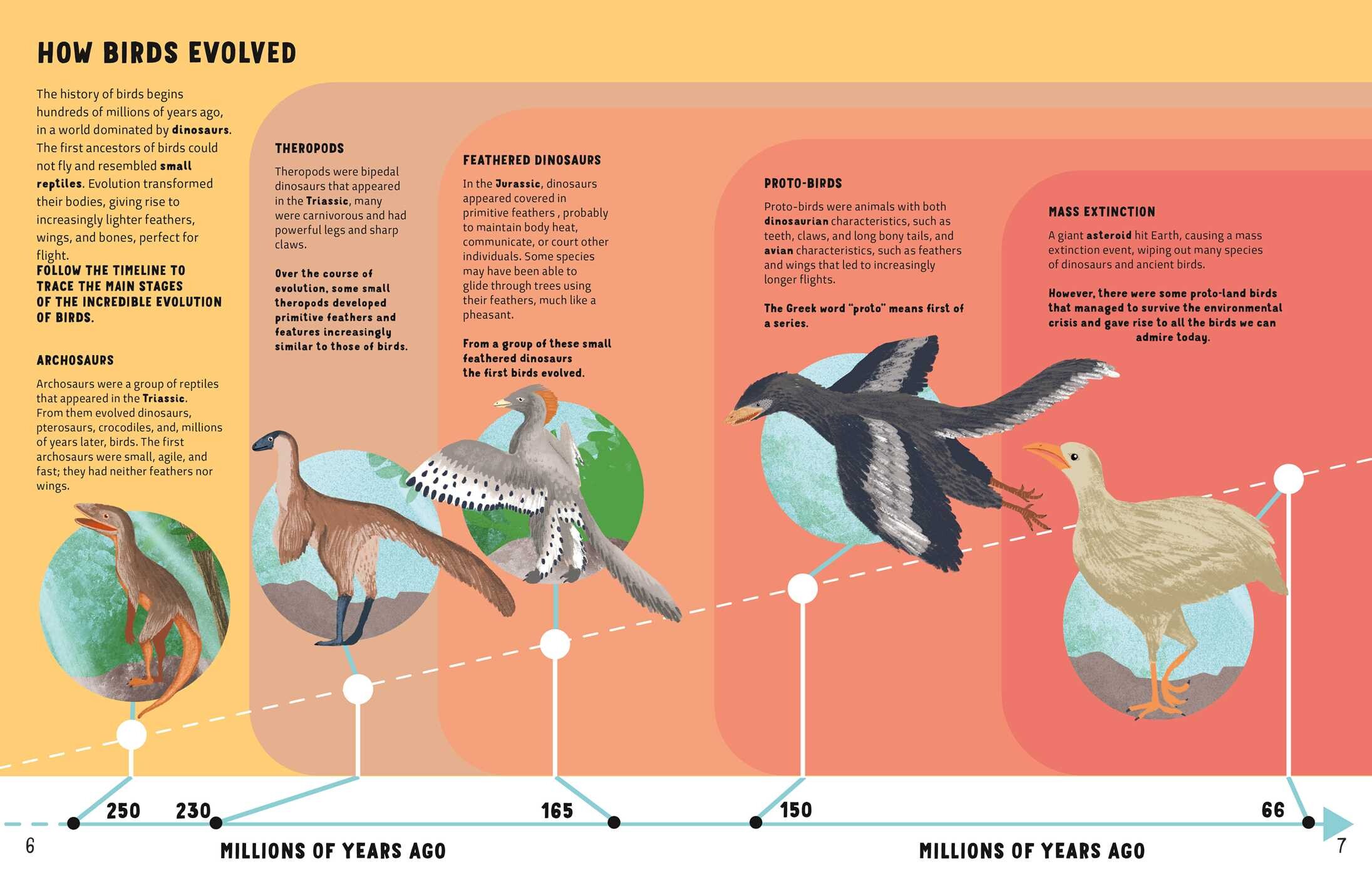 The World of Birds