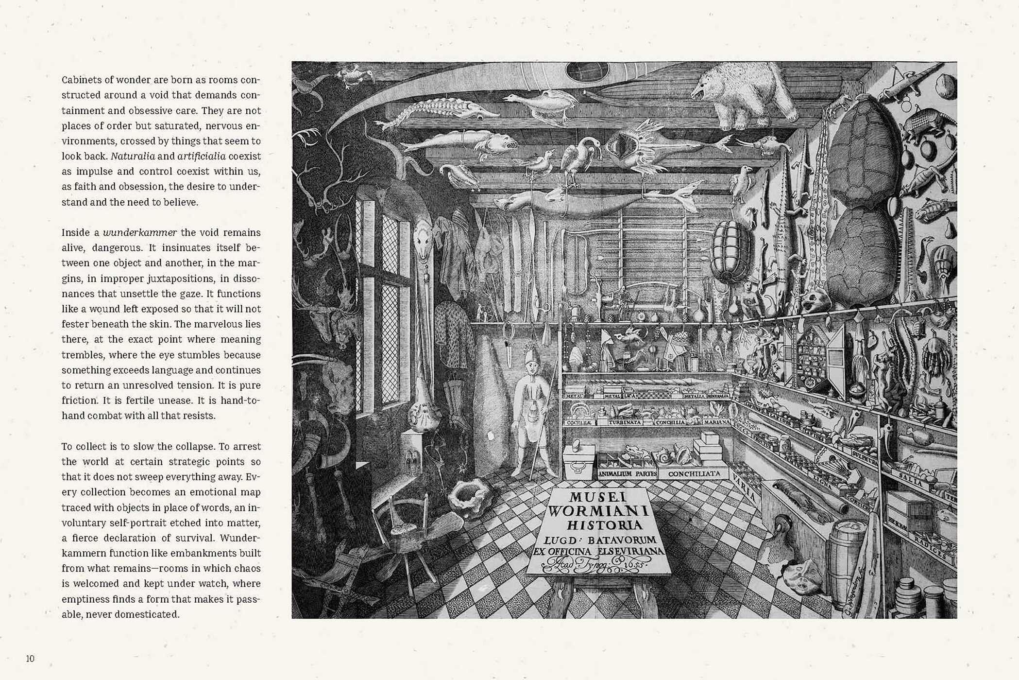 Cabinets of Curiosities