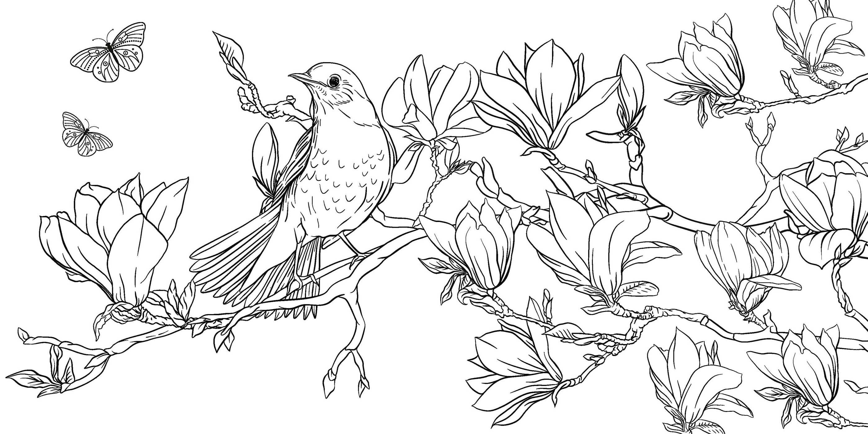 Coloring Book: Japanese Enchantments