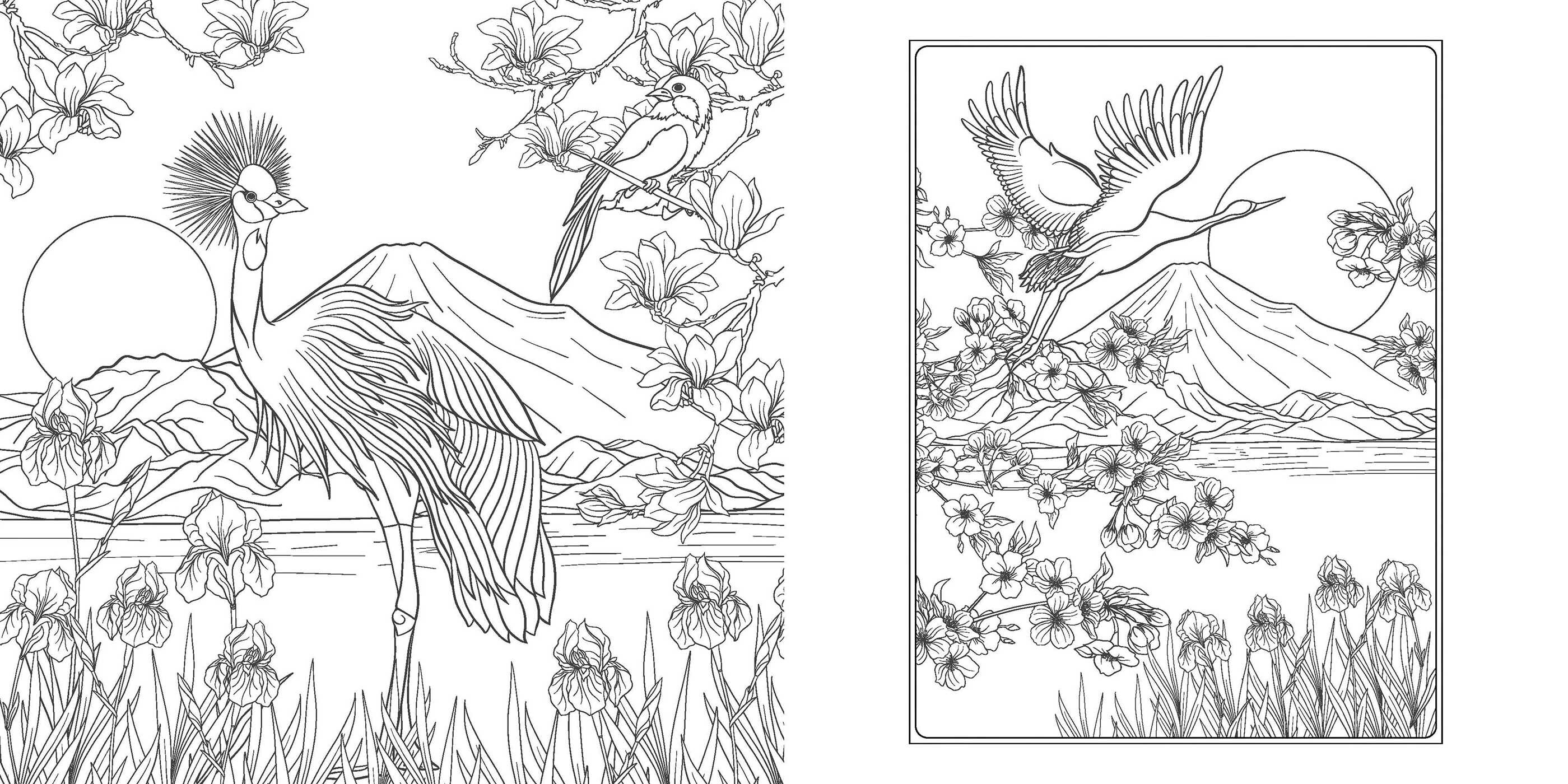 Coloring Book: Japanese Enchantments