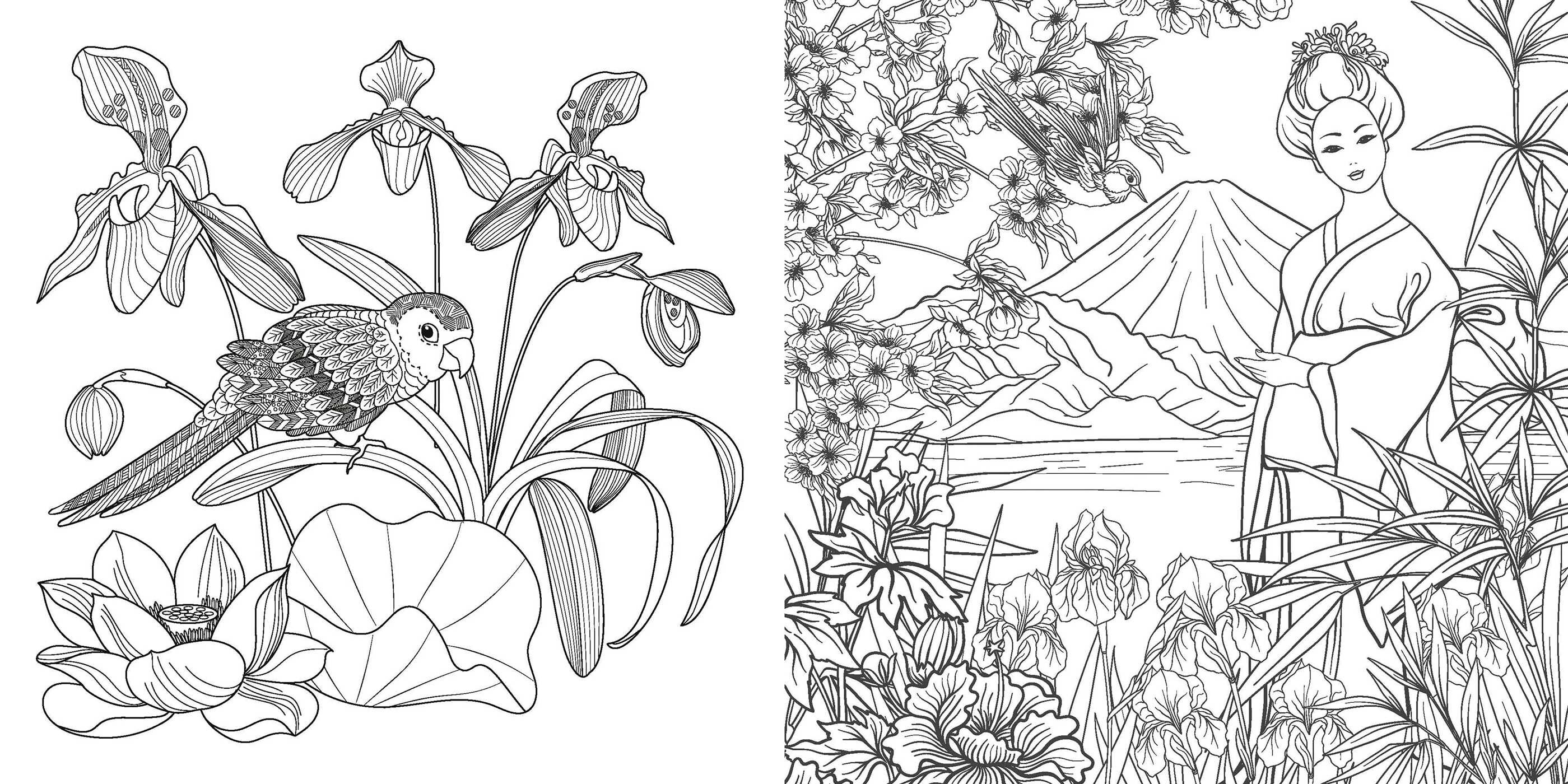 Coloring Book: Japanese Enchantments