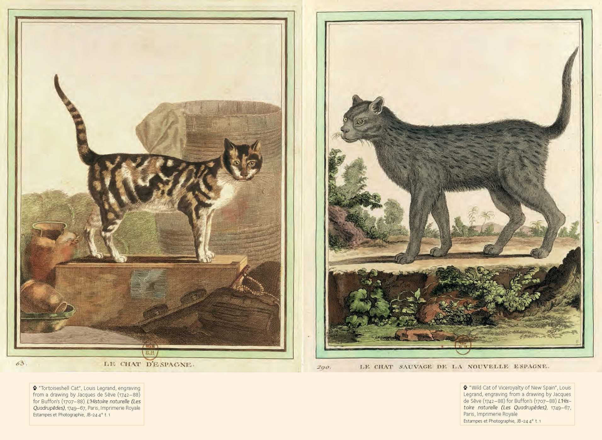 Well-Read Cat