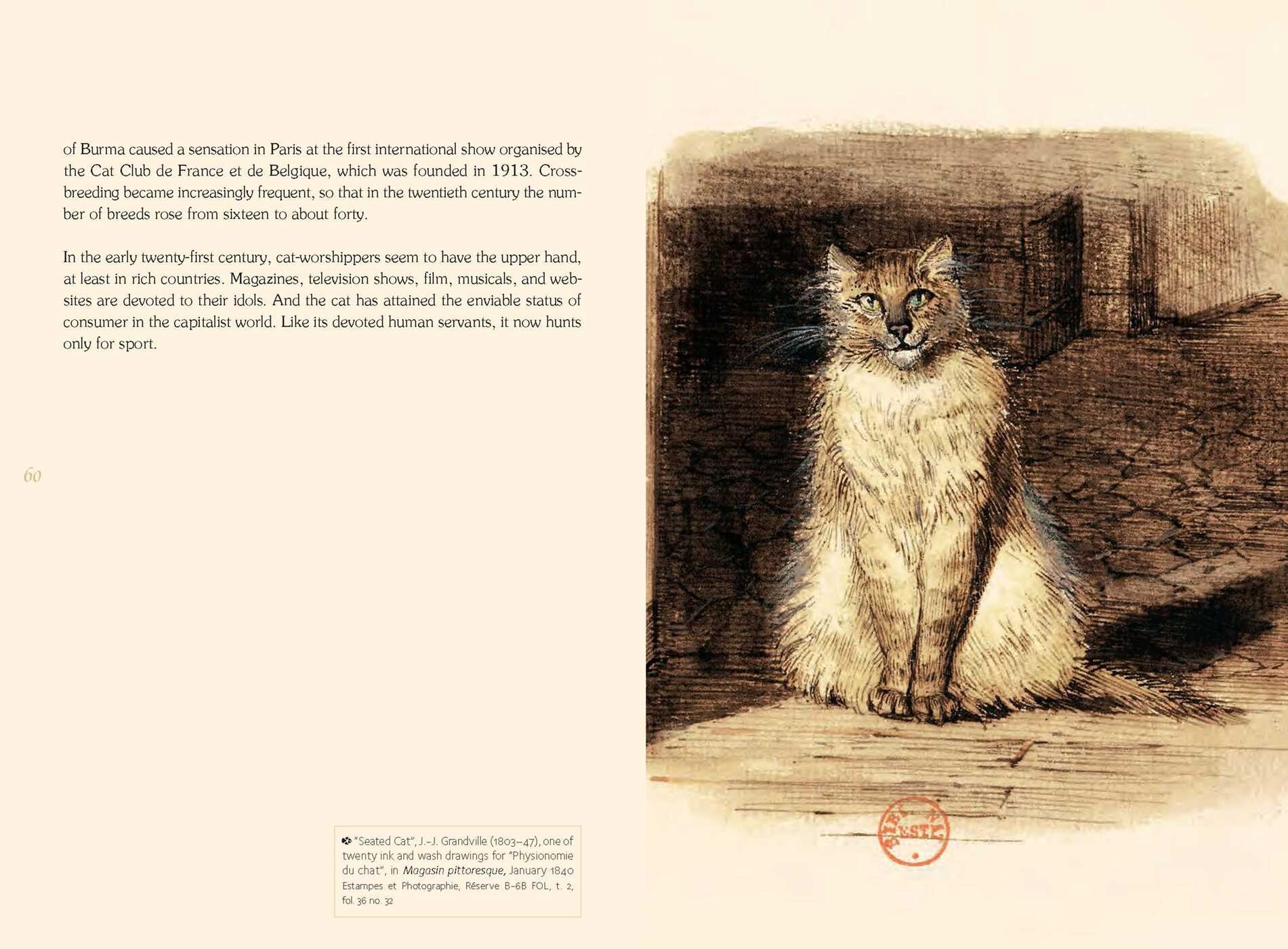 Well-Read Cat