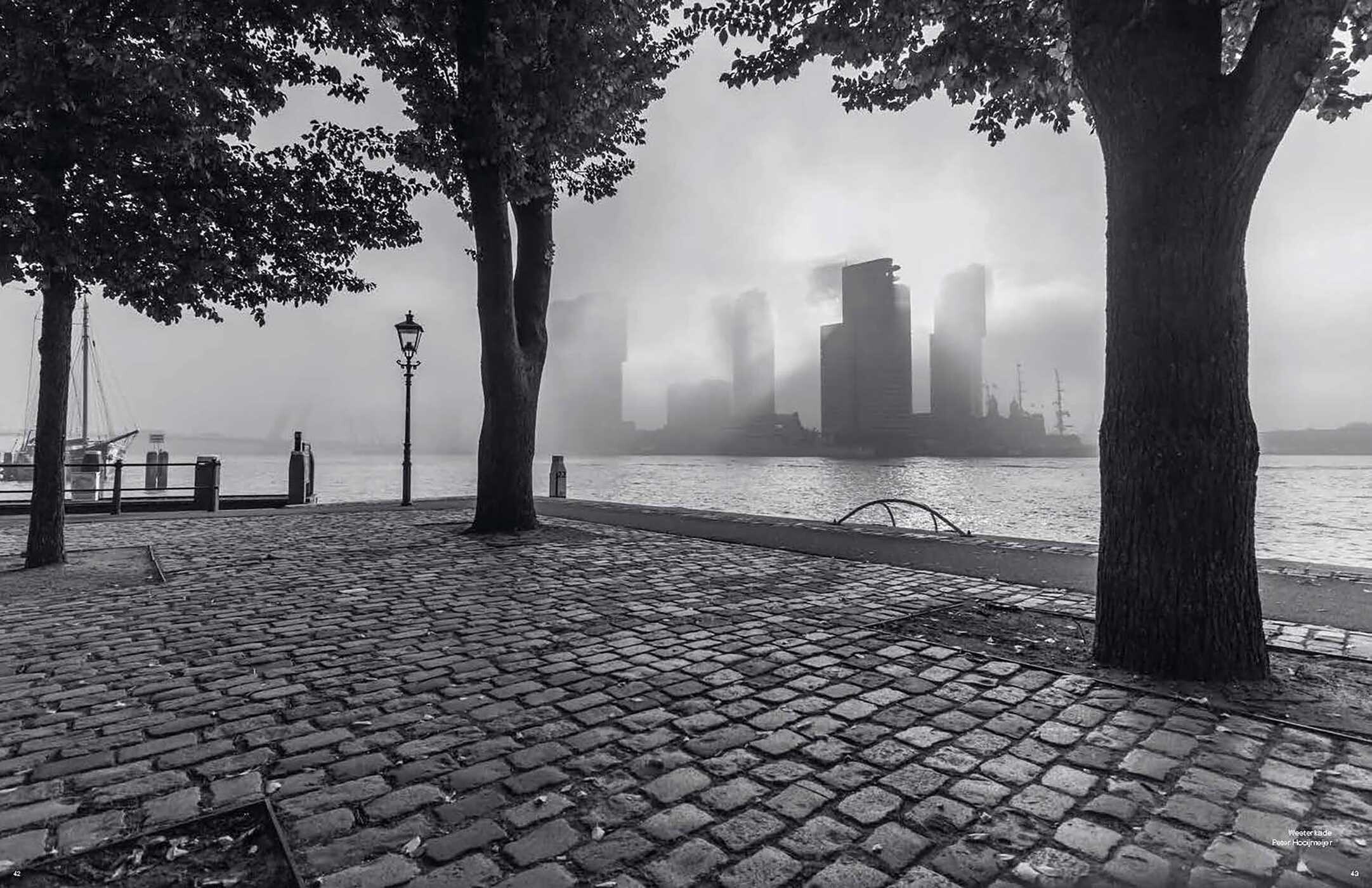 Captured: Rotterdam