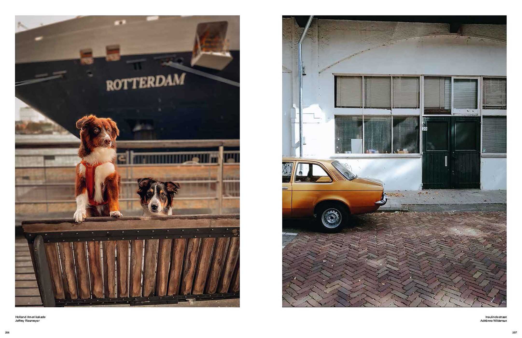 Captured: Rotterdam