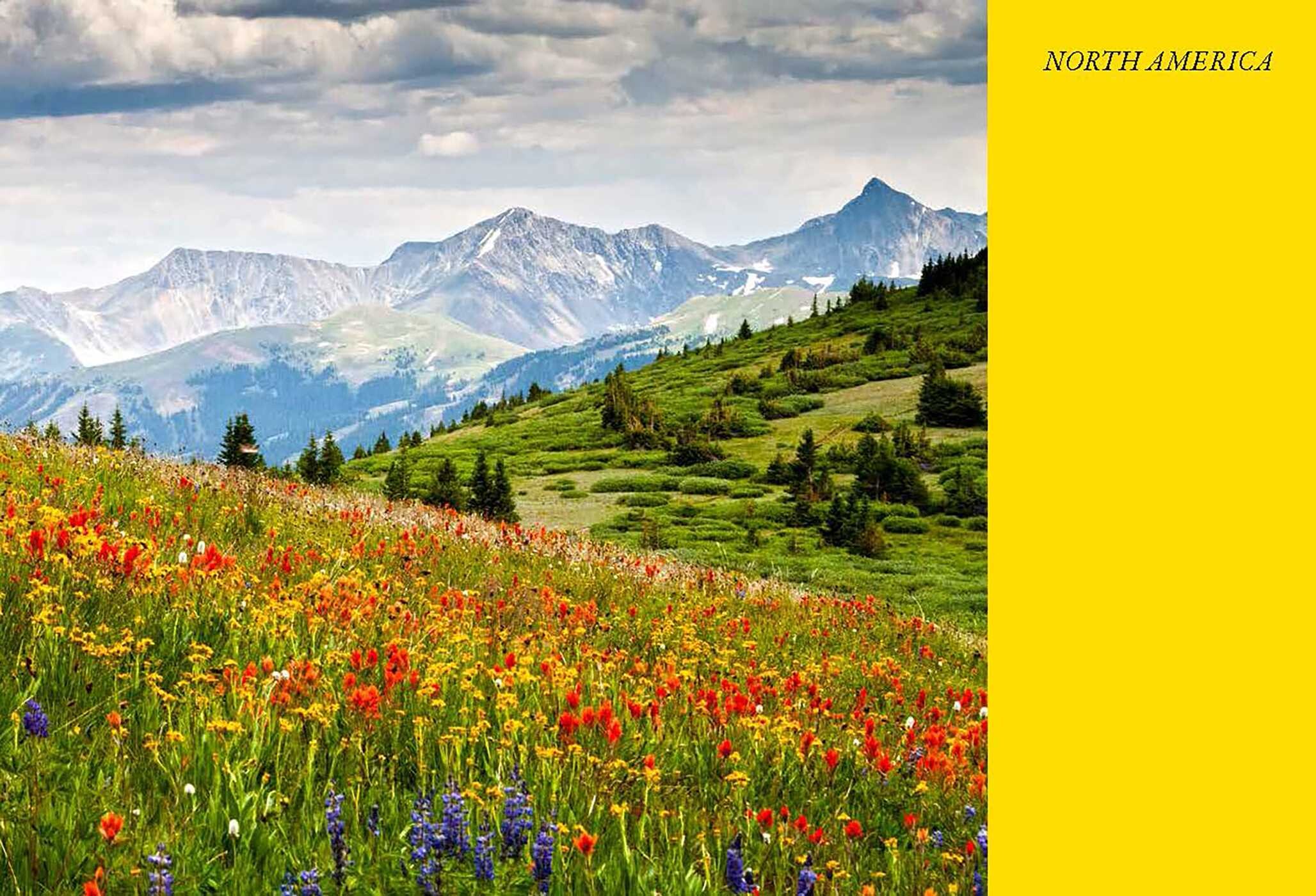 Wildflower Travel Book