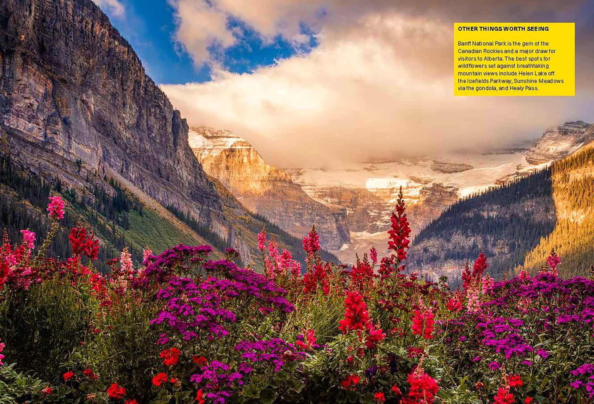 Wildflower Travel Book