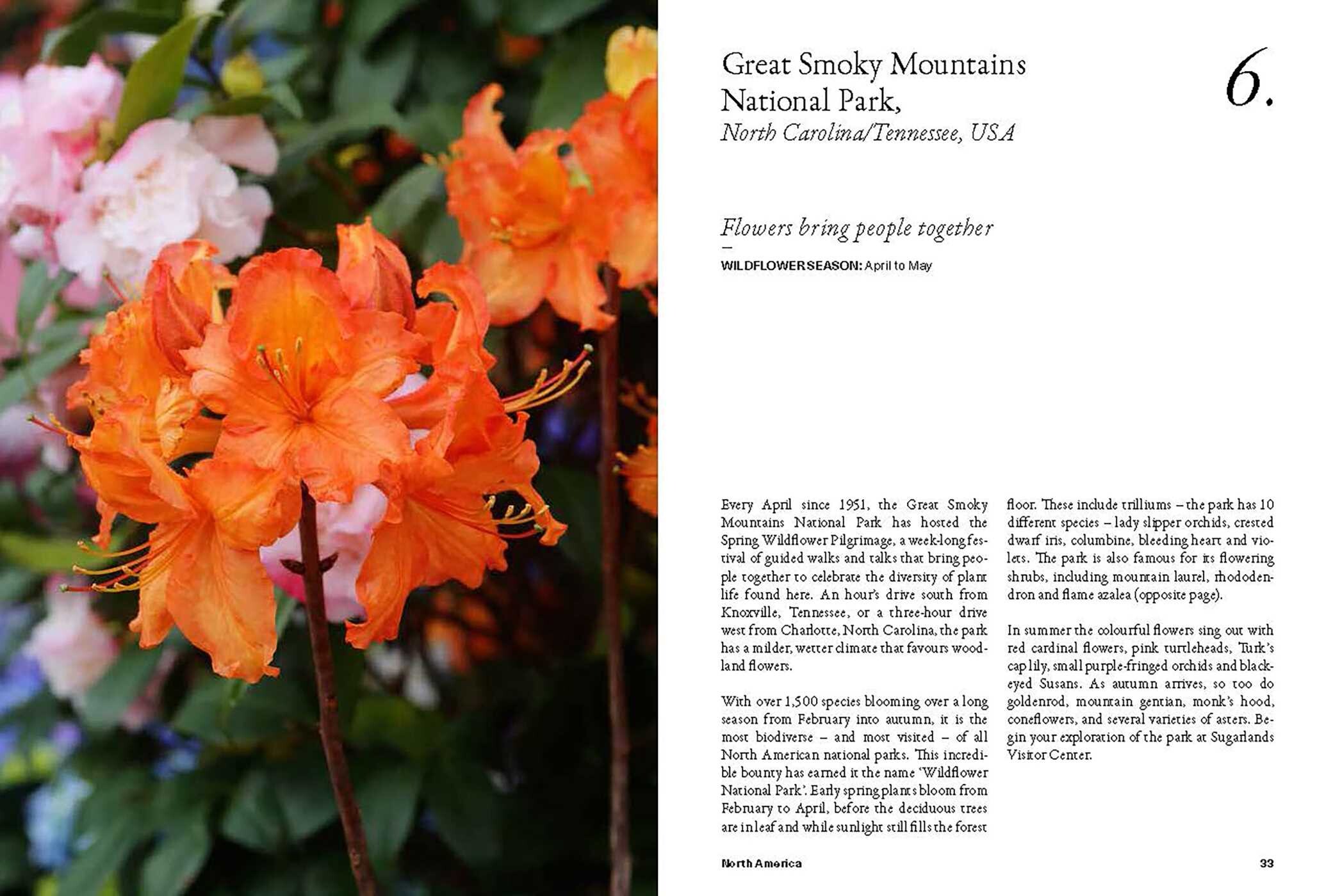 Wildflower Travel Book