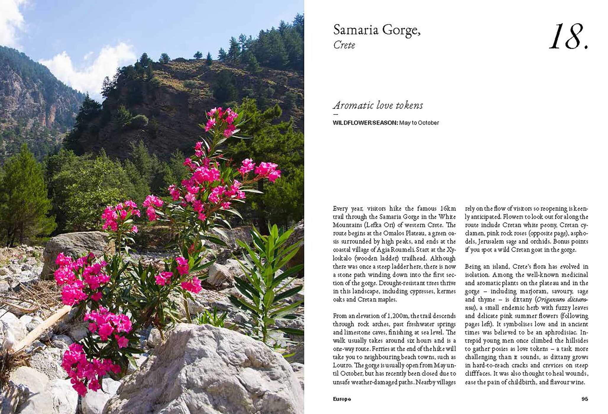 Wildflower Travel Book