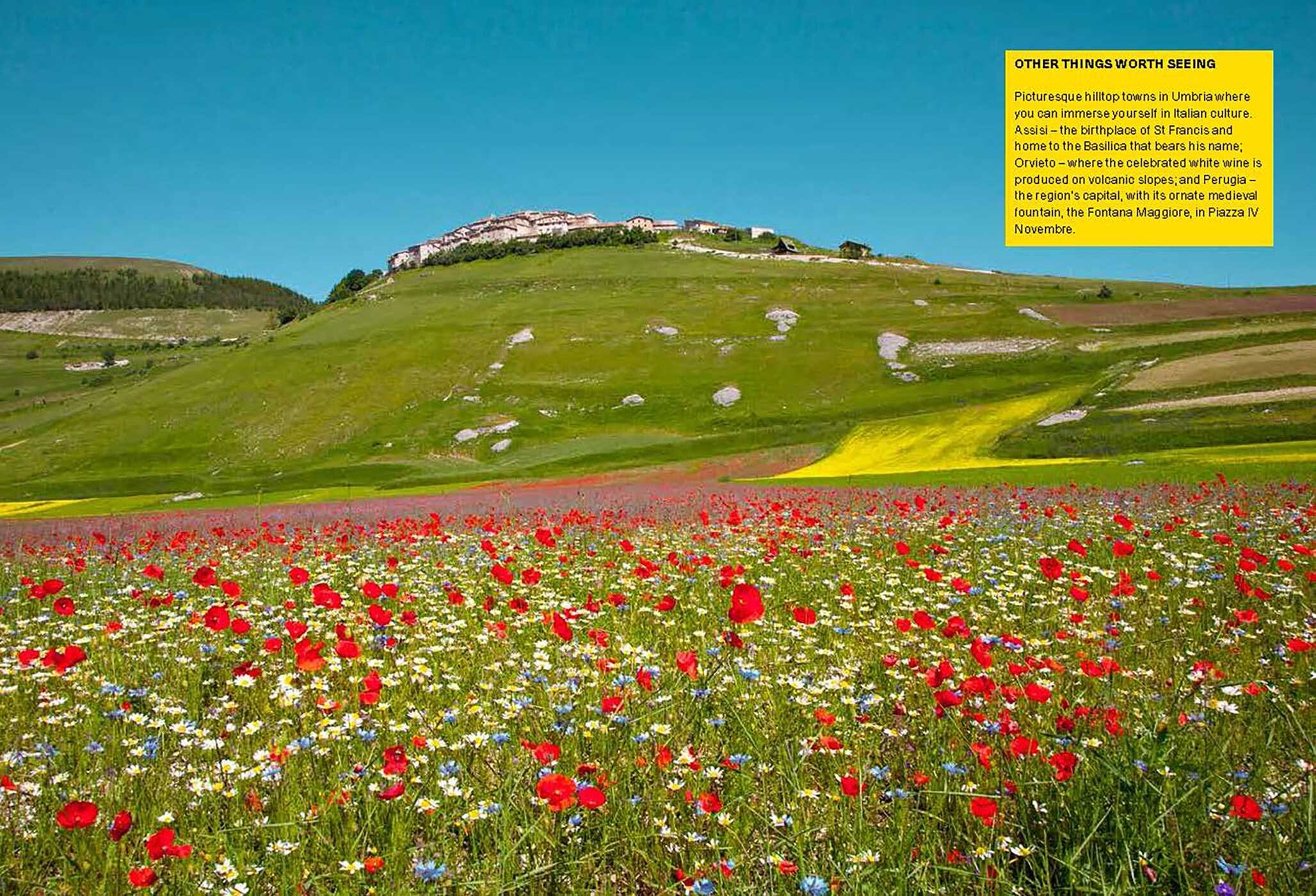 Wildflower Travel Book