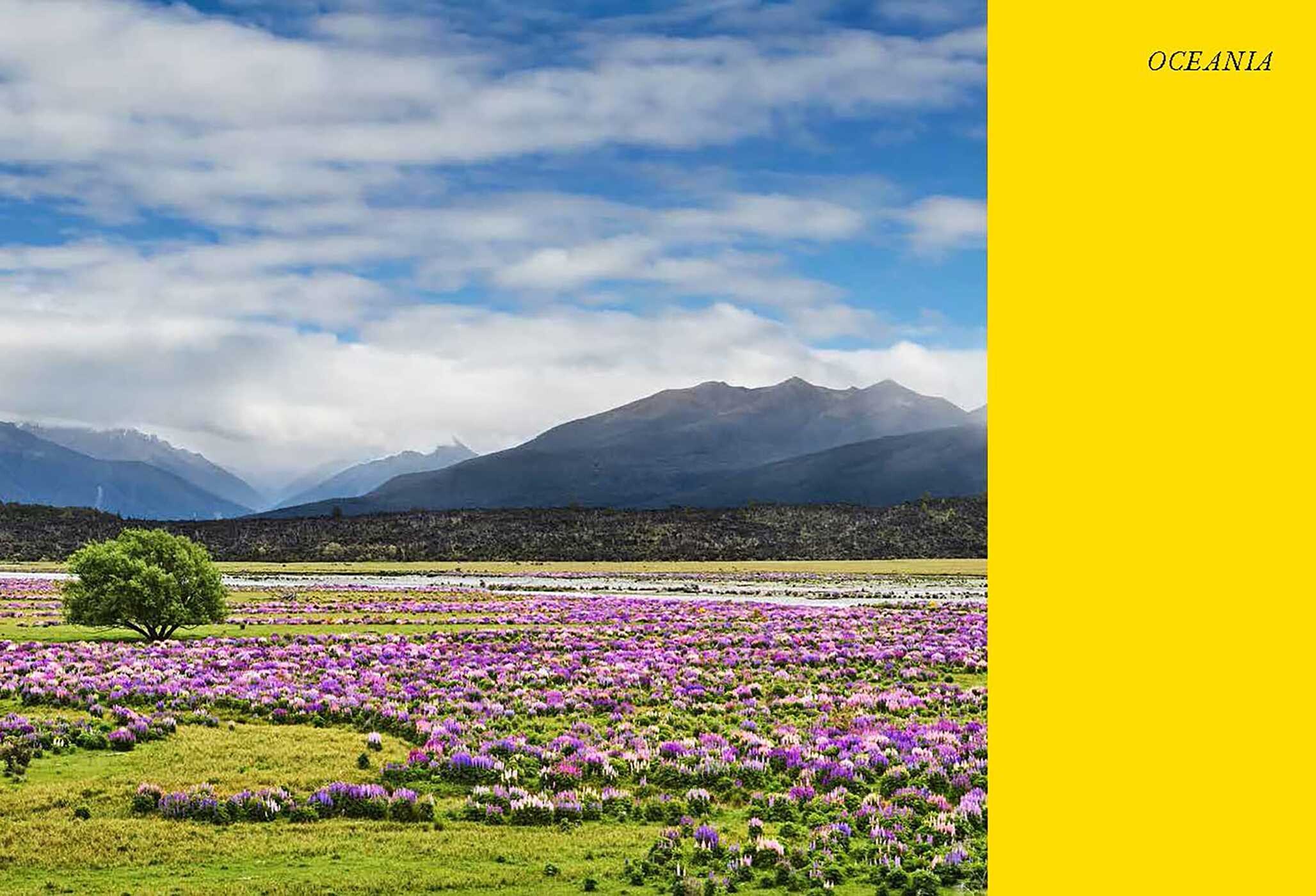 Wildflower Travel Book