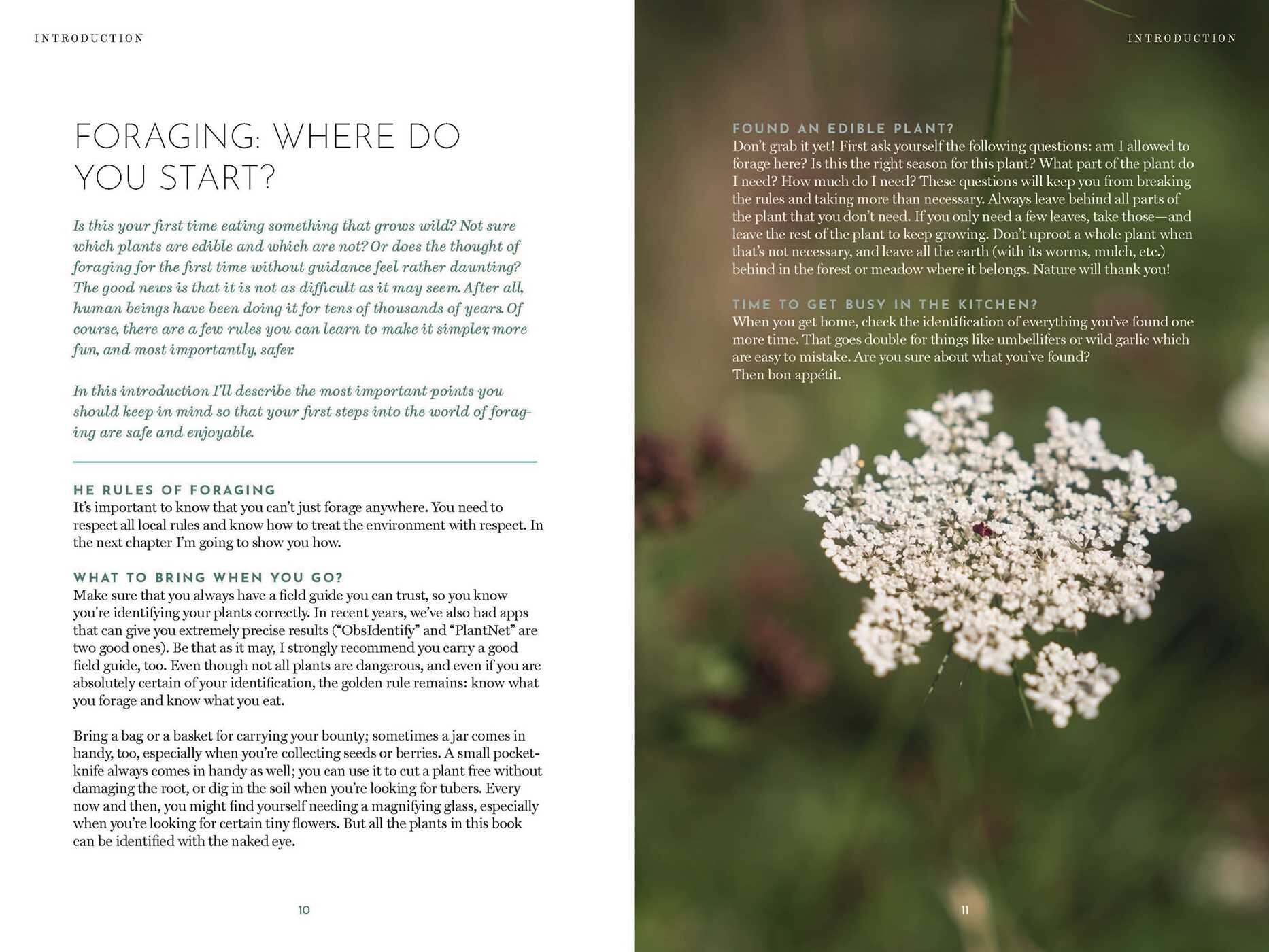 Foraging Book