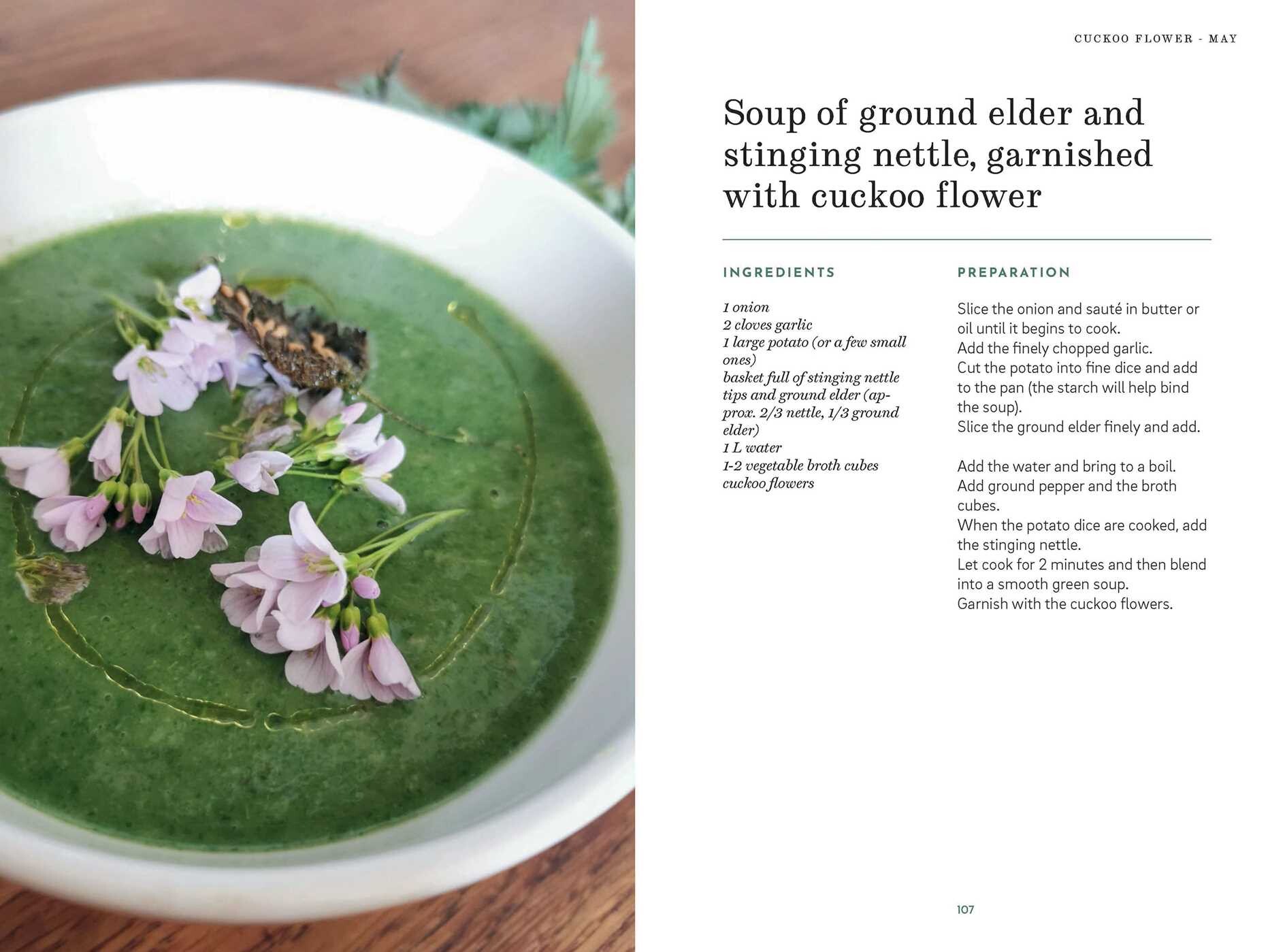 Foraging Book