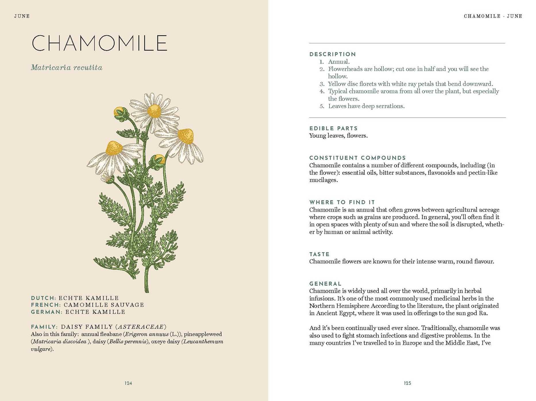 Foraging Book