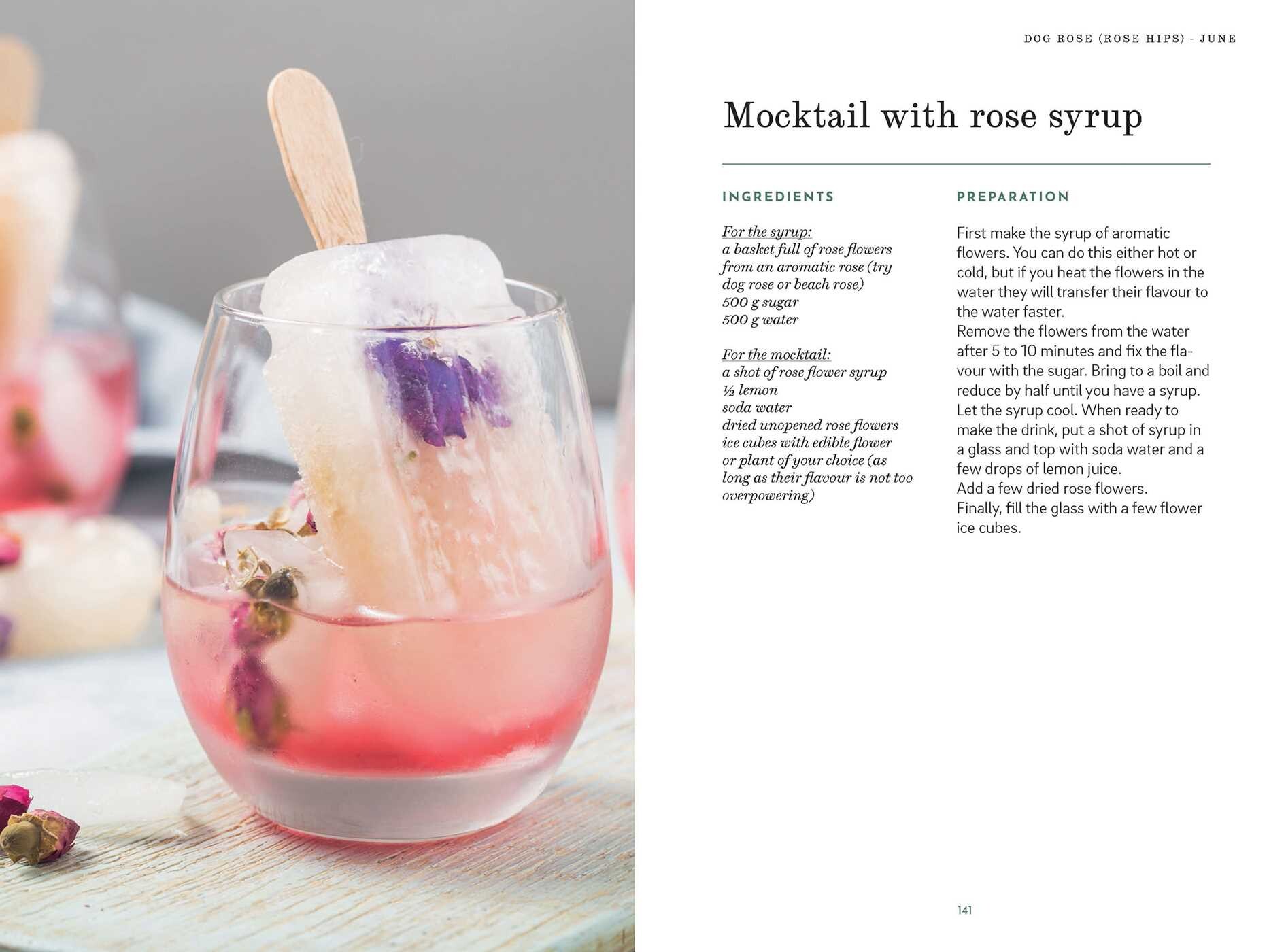 Foraging Book