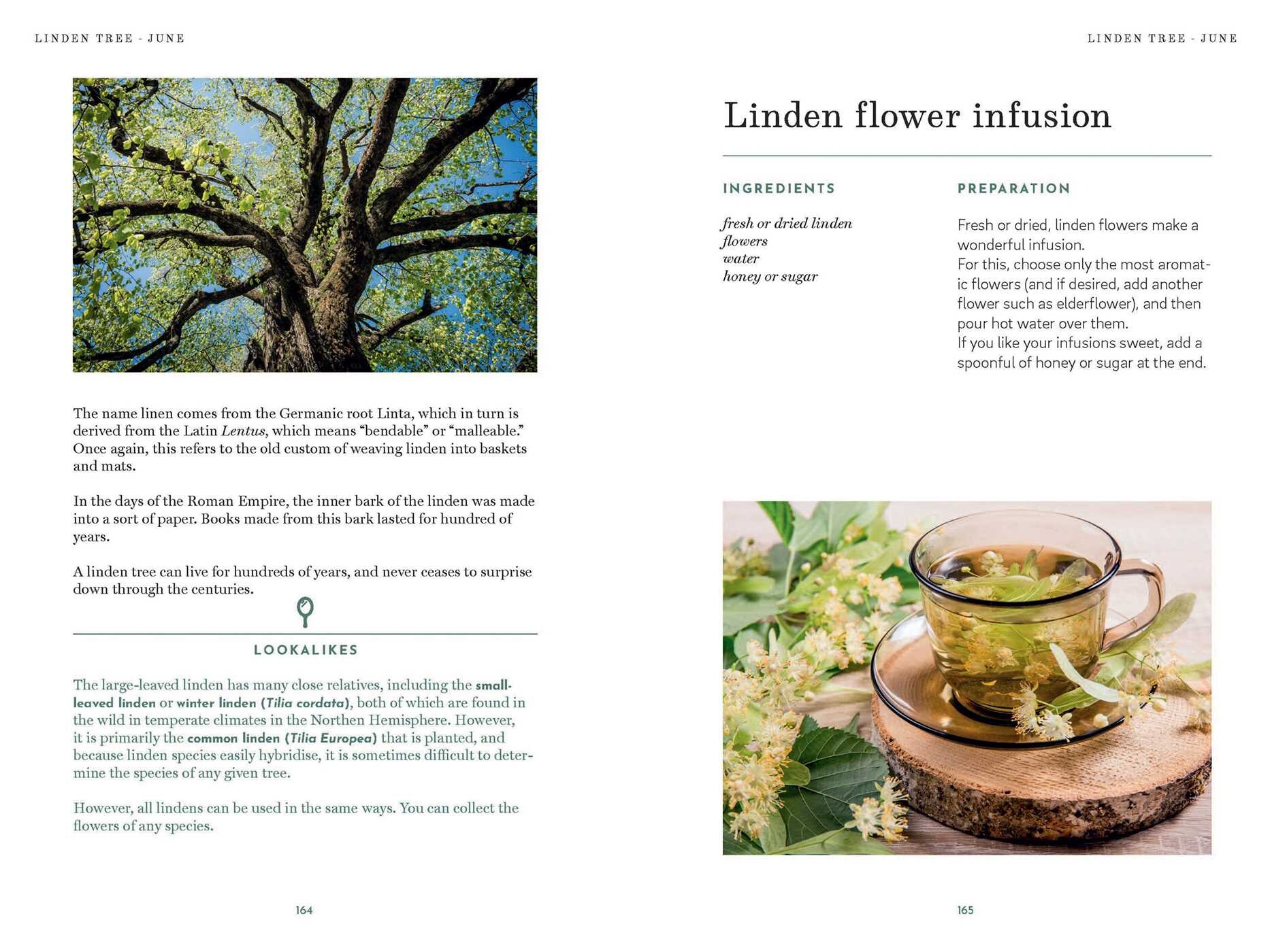 Foraging Book