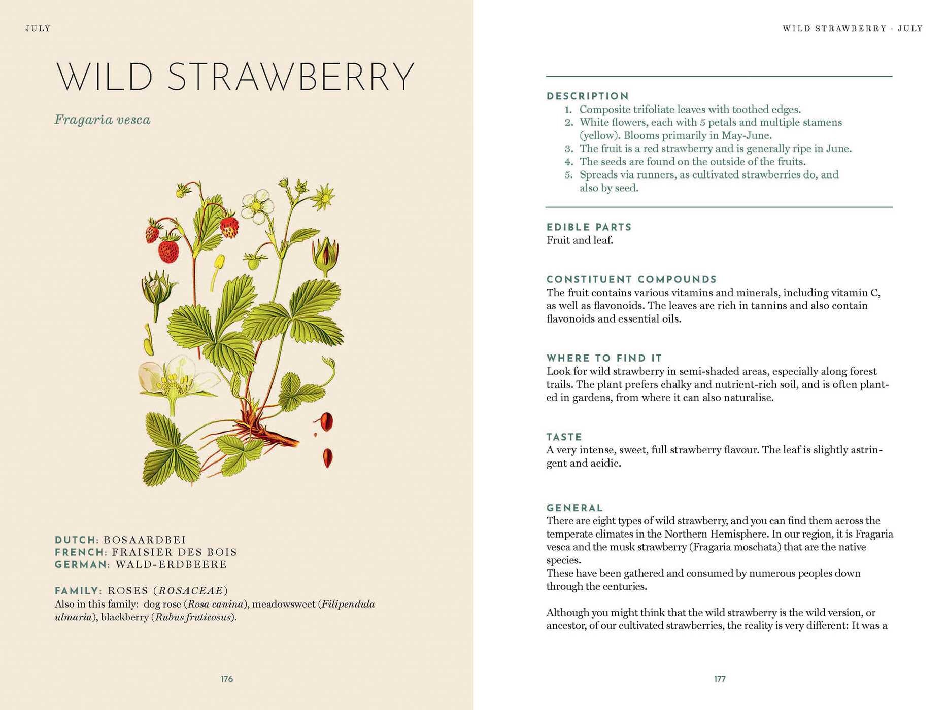 Foraging Book