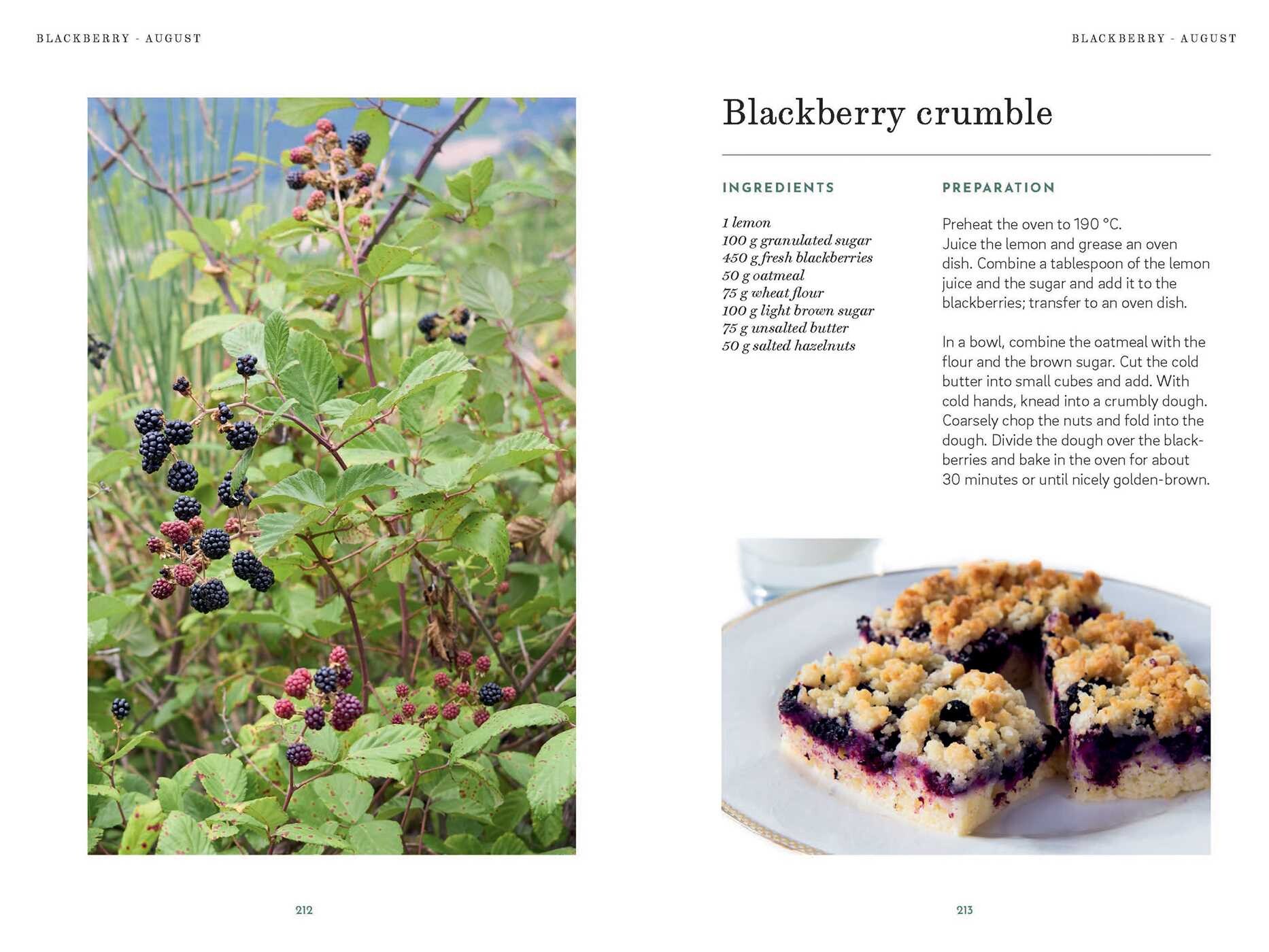 Foraging Book