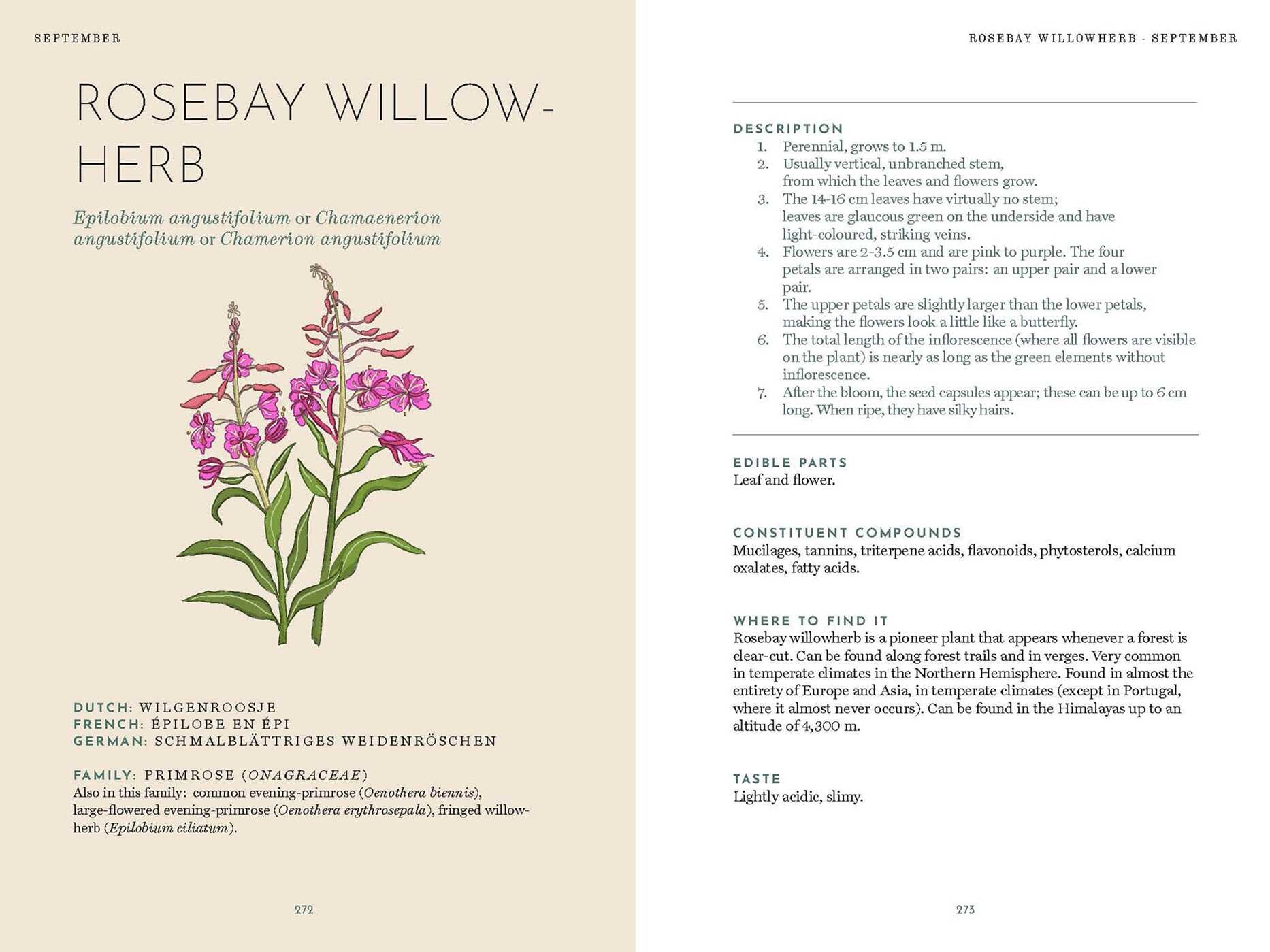 Foraging Book