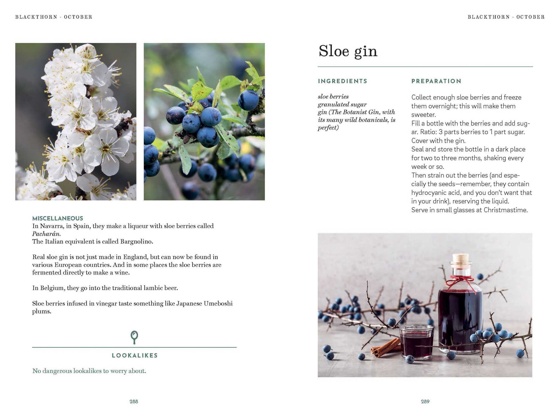 Foraging Book