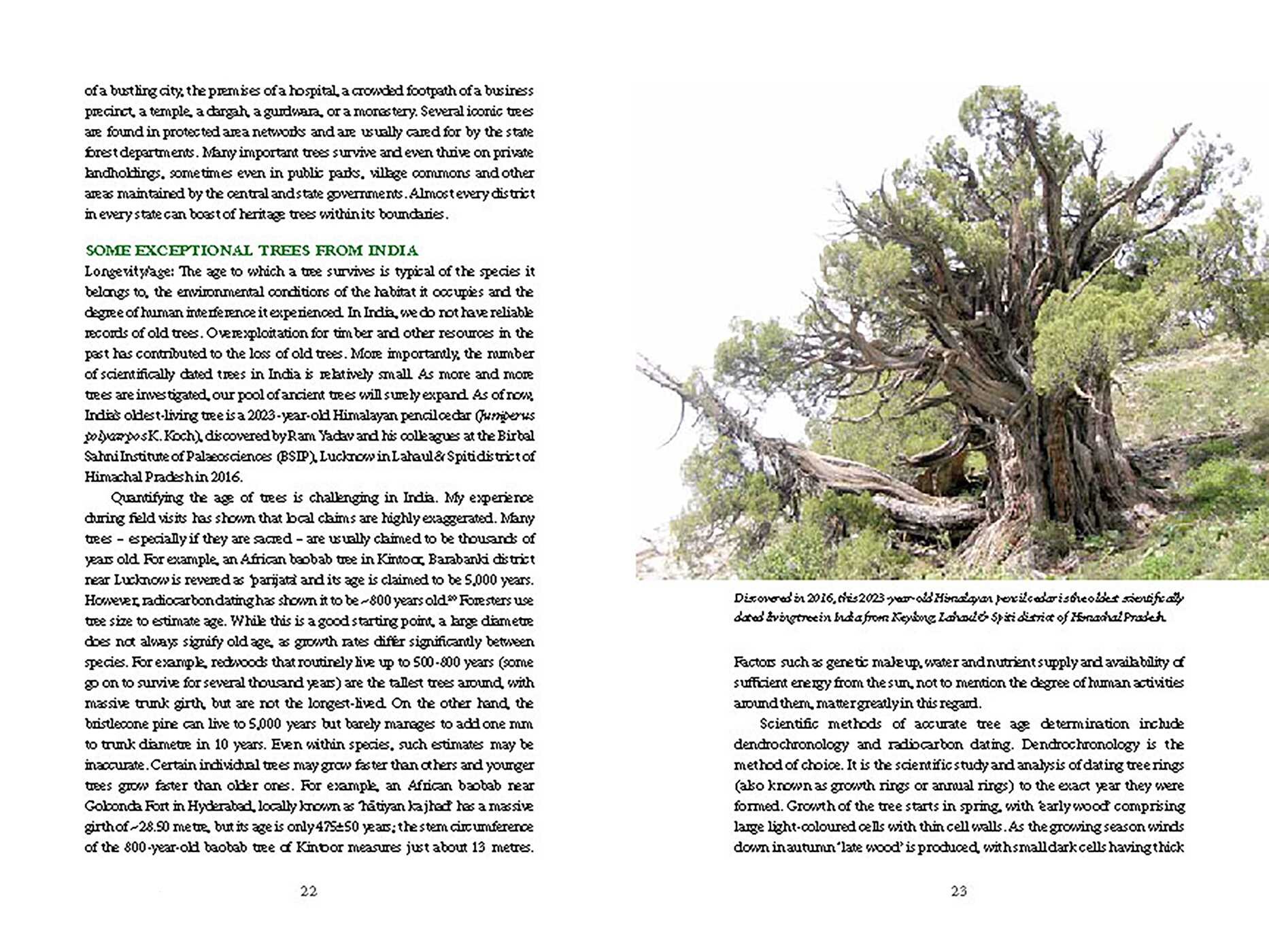 Iconic Trees of India