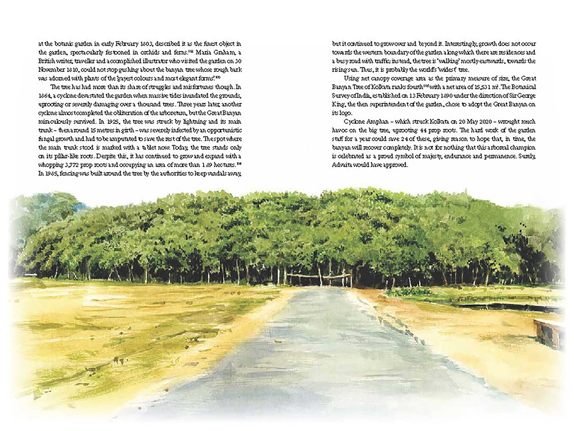 Iconic Trees of India
