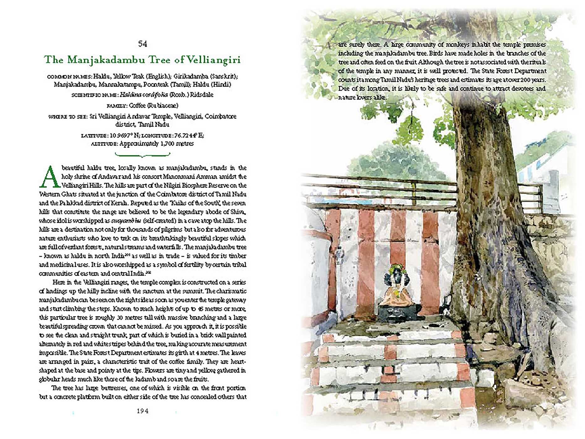 Iconic Trees of India