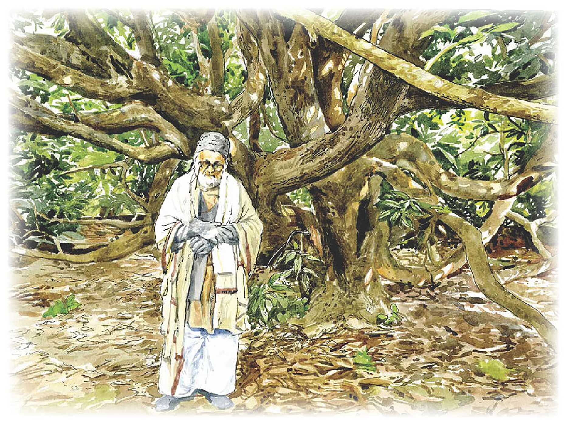 Iconic Trees of India