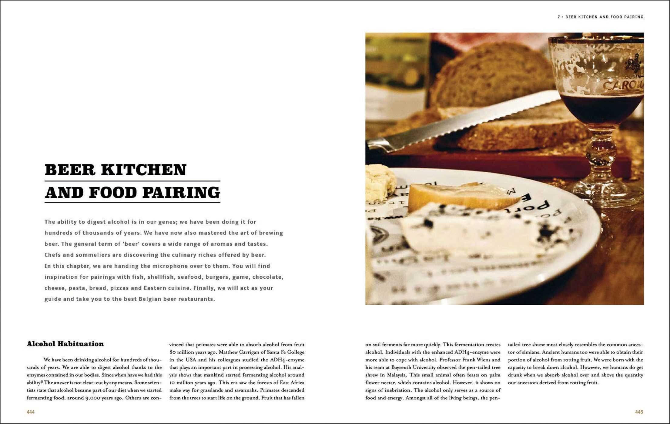 Belgian Beer Book