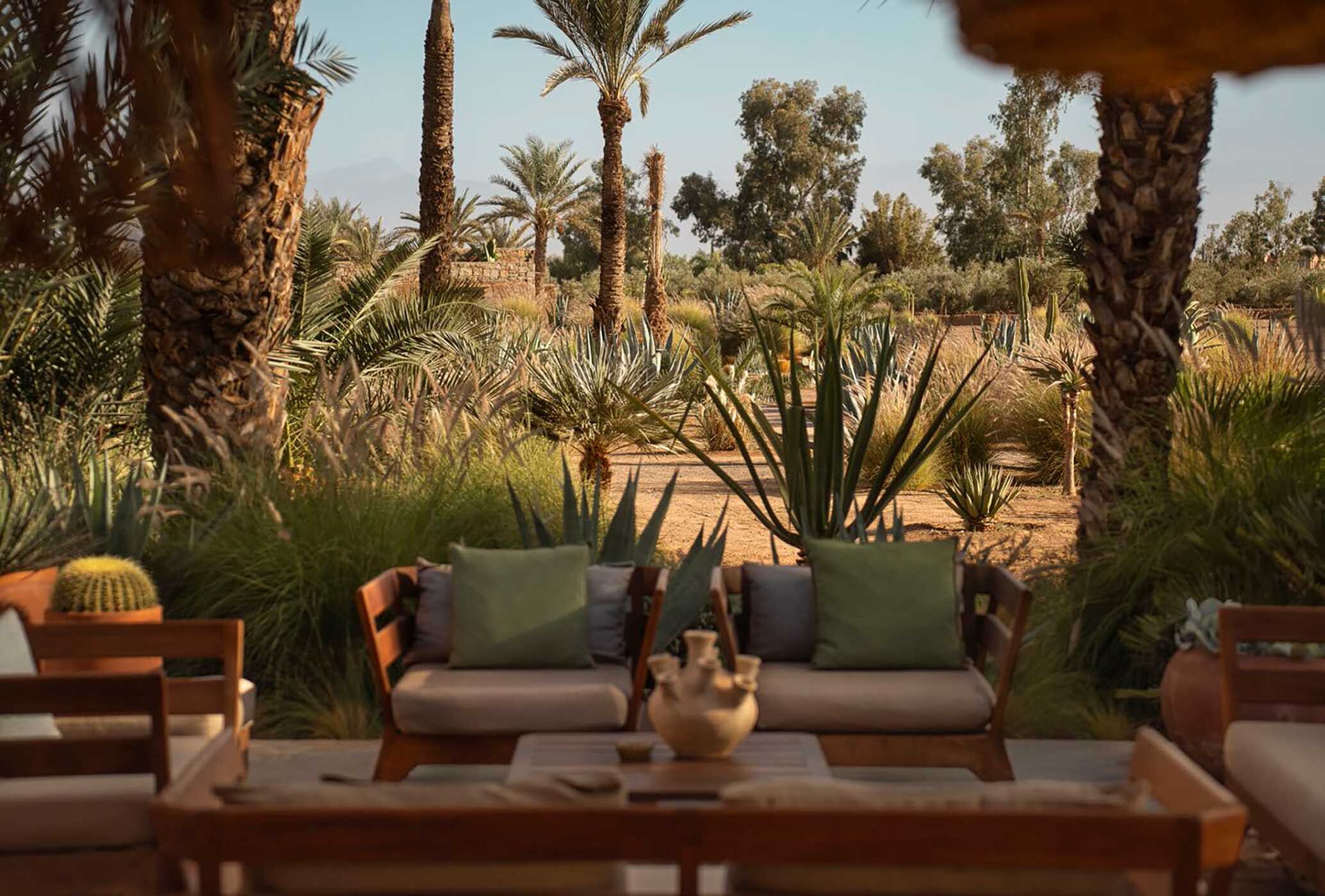 Rock the Kasbah
