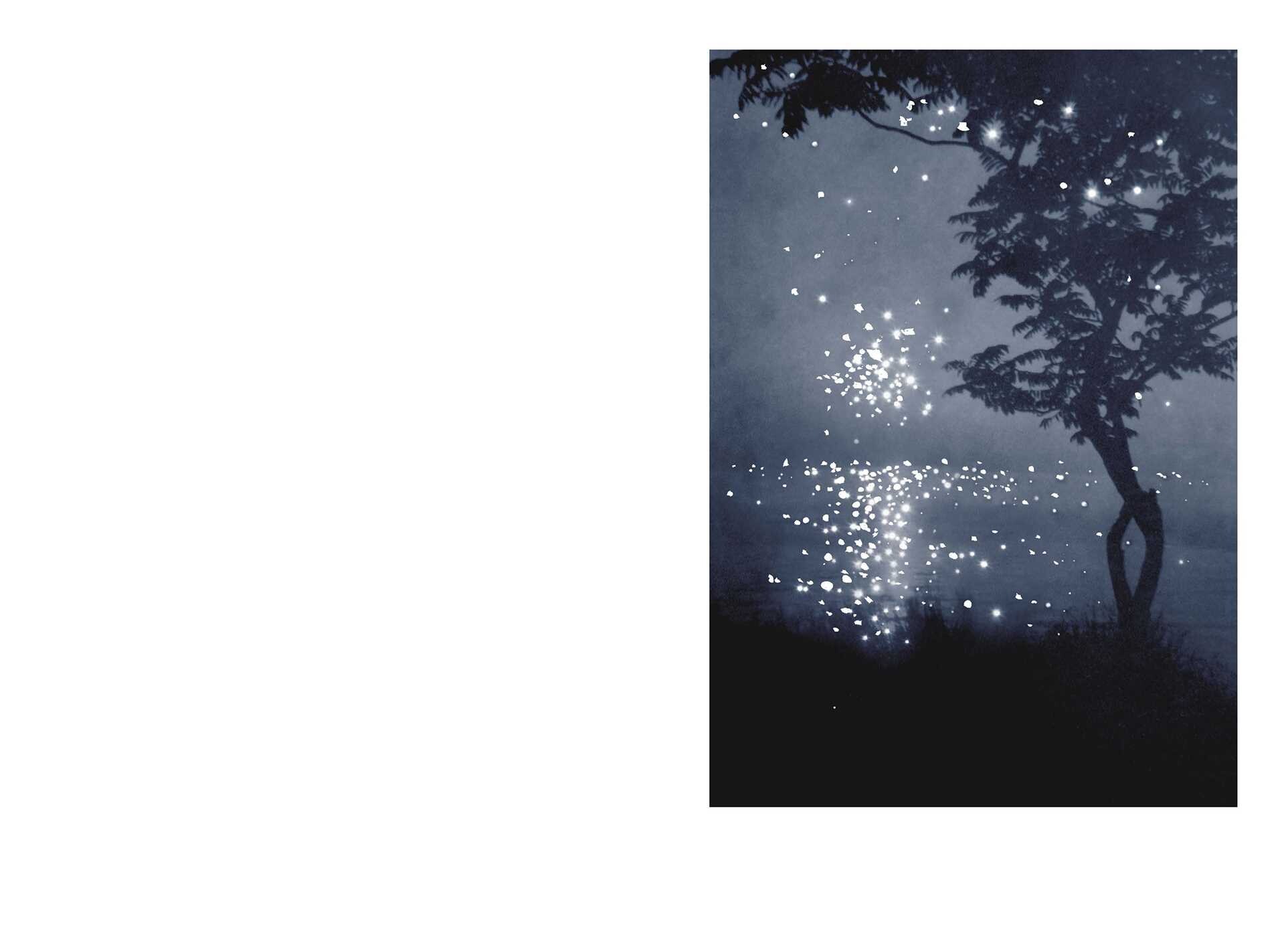 Firelight