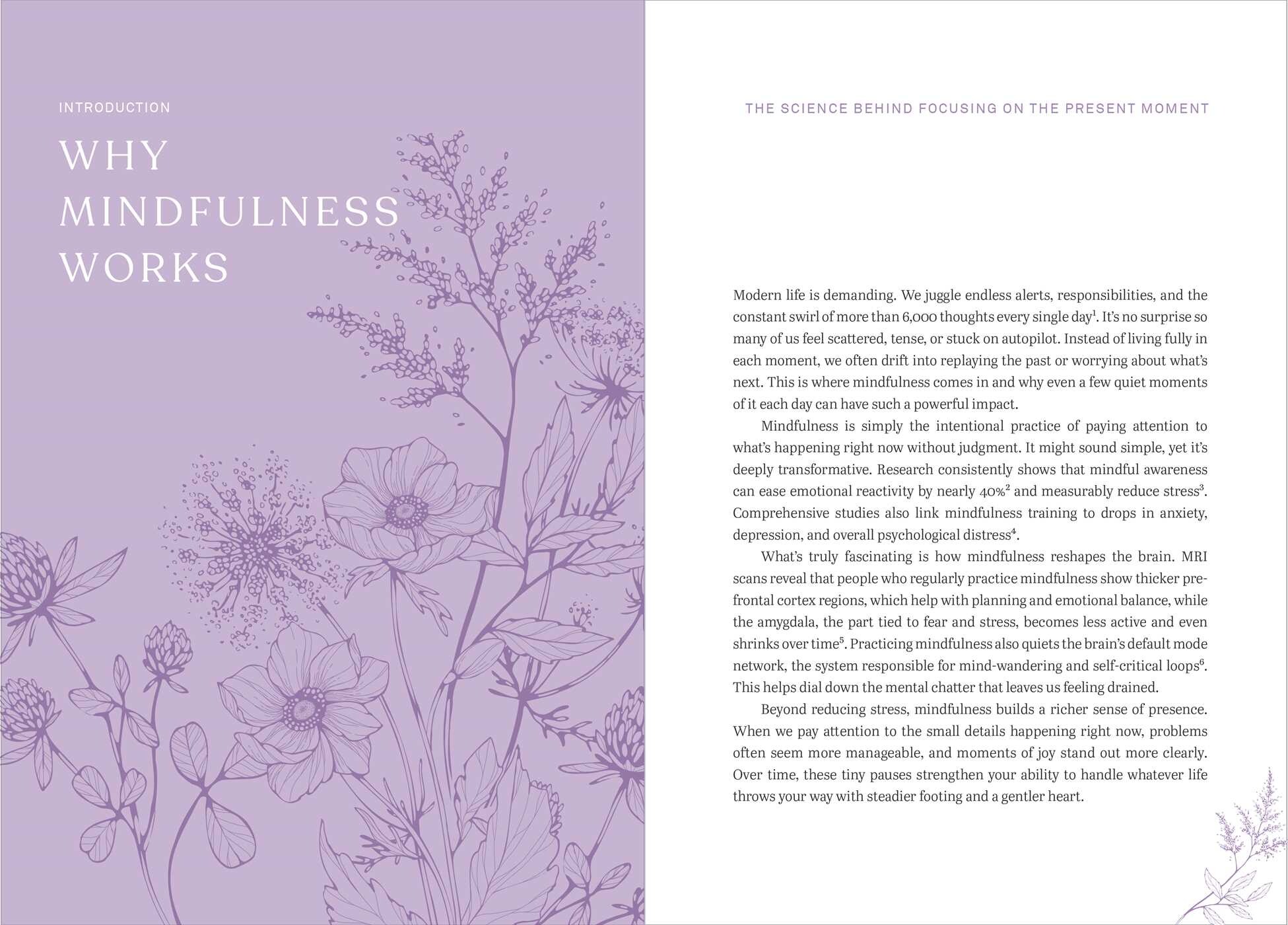 Mindfulness