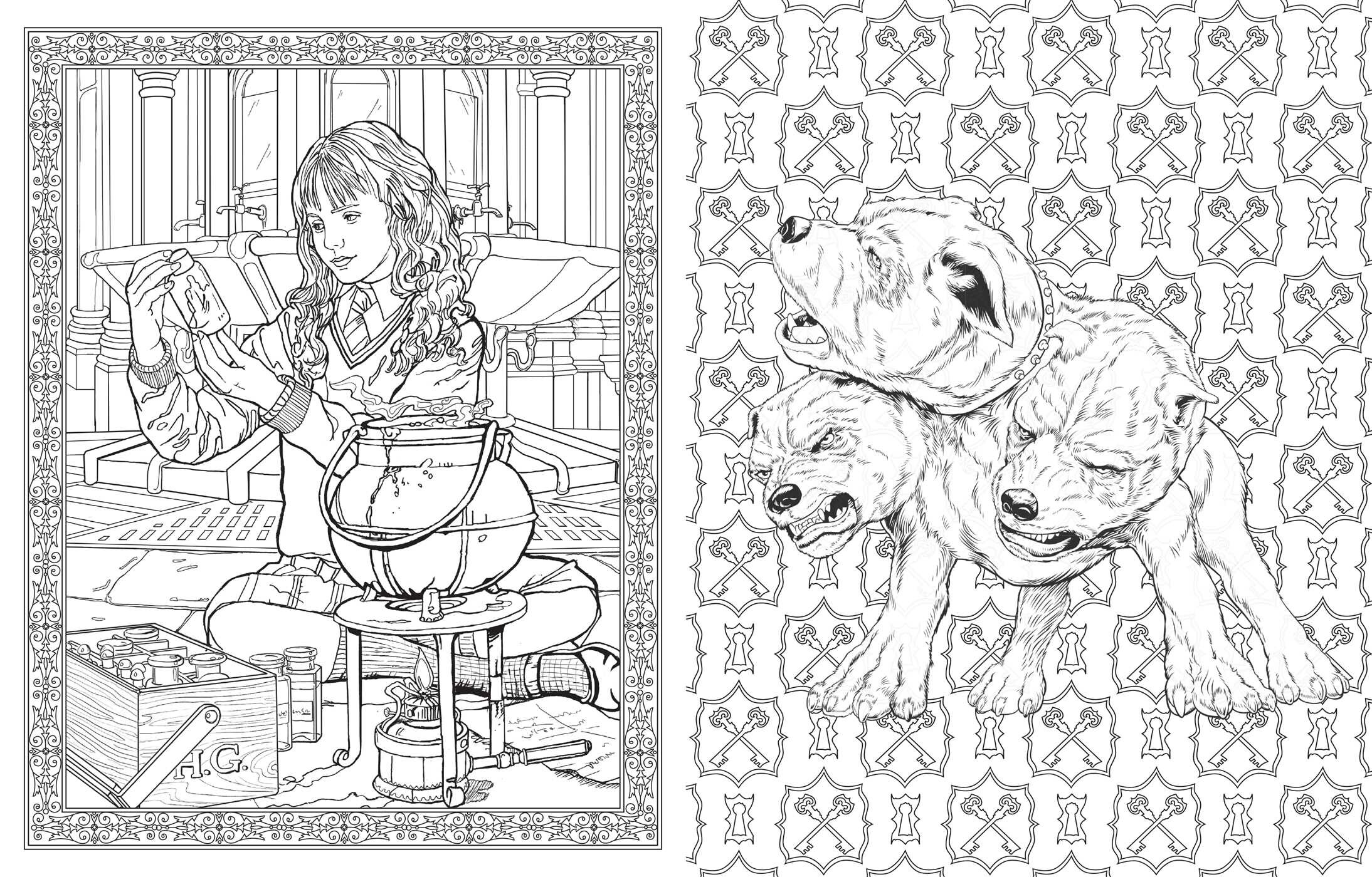 Harry Potter Coloring Book
