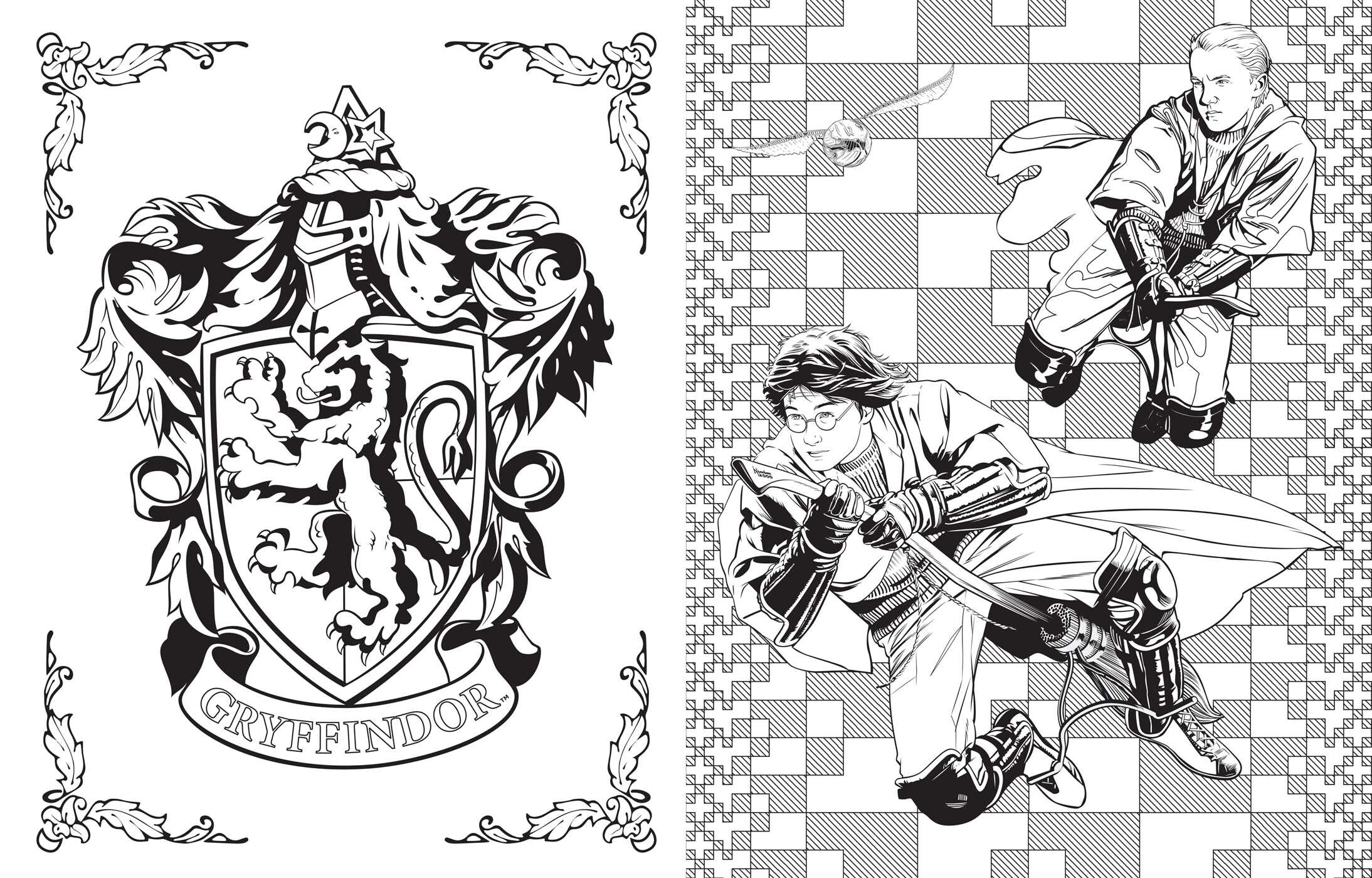 Harry Potter Coloring Book