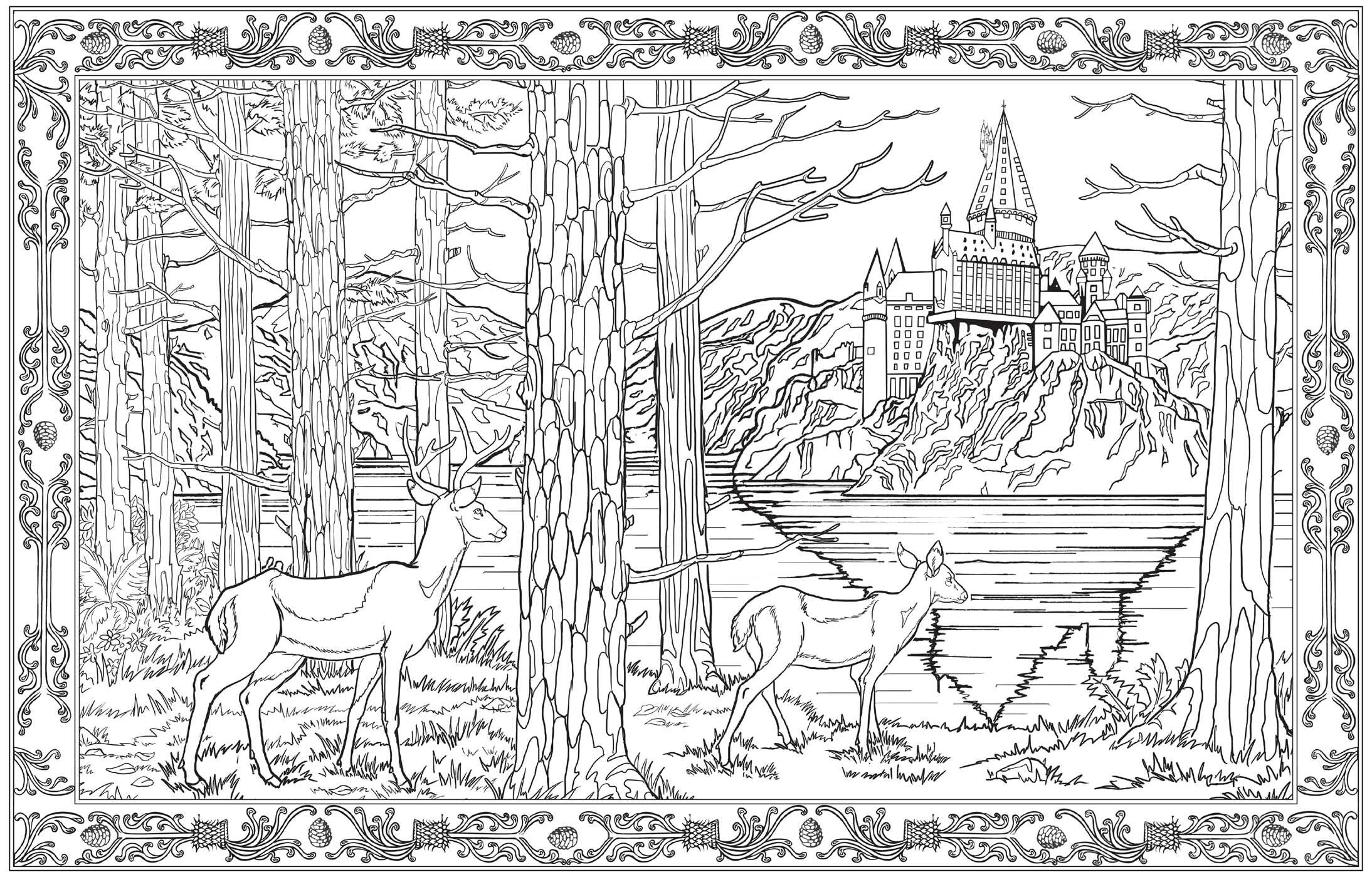 Harry Potter Coloring Book