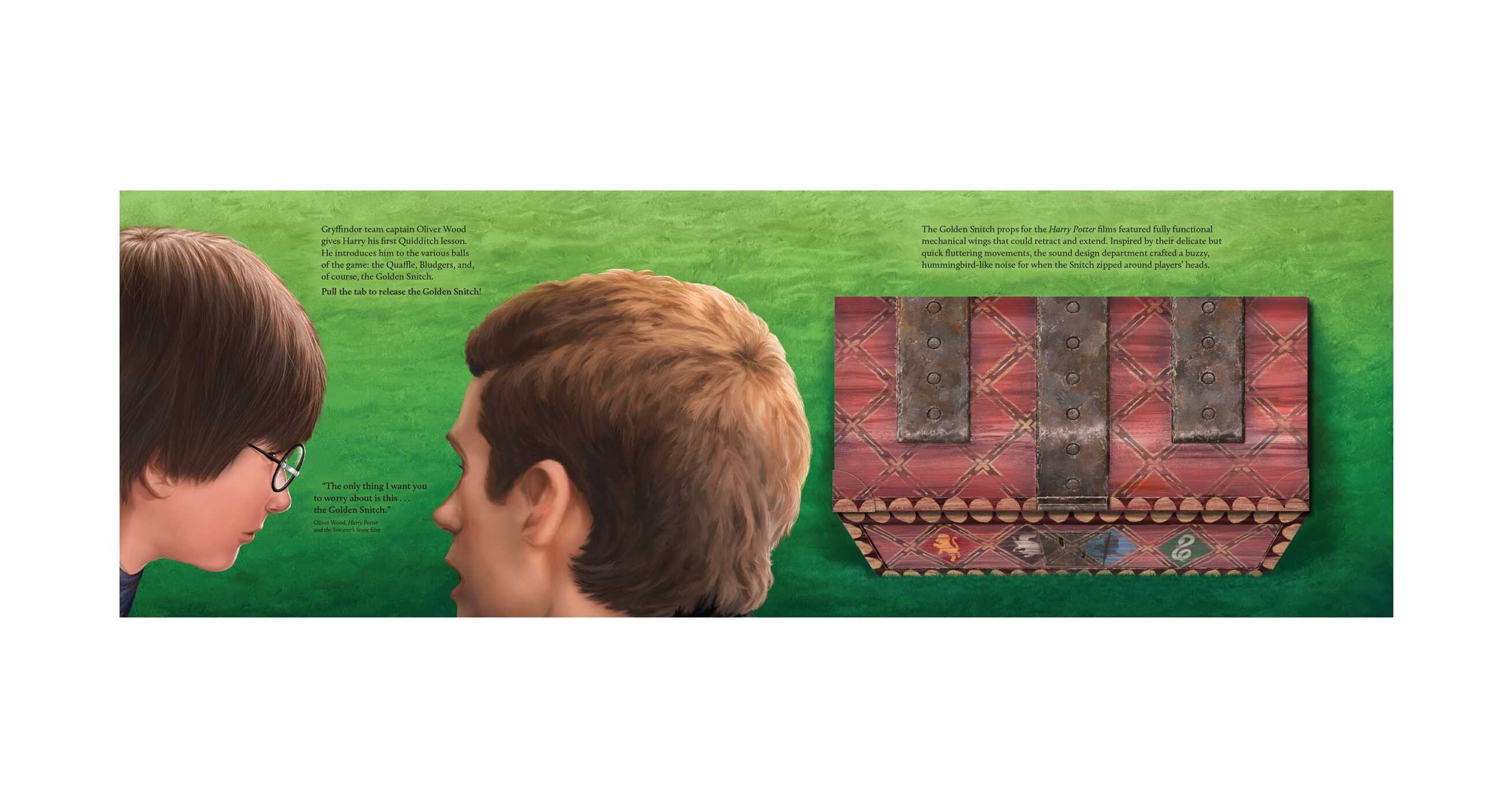 Harry Potter: Quidditch