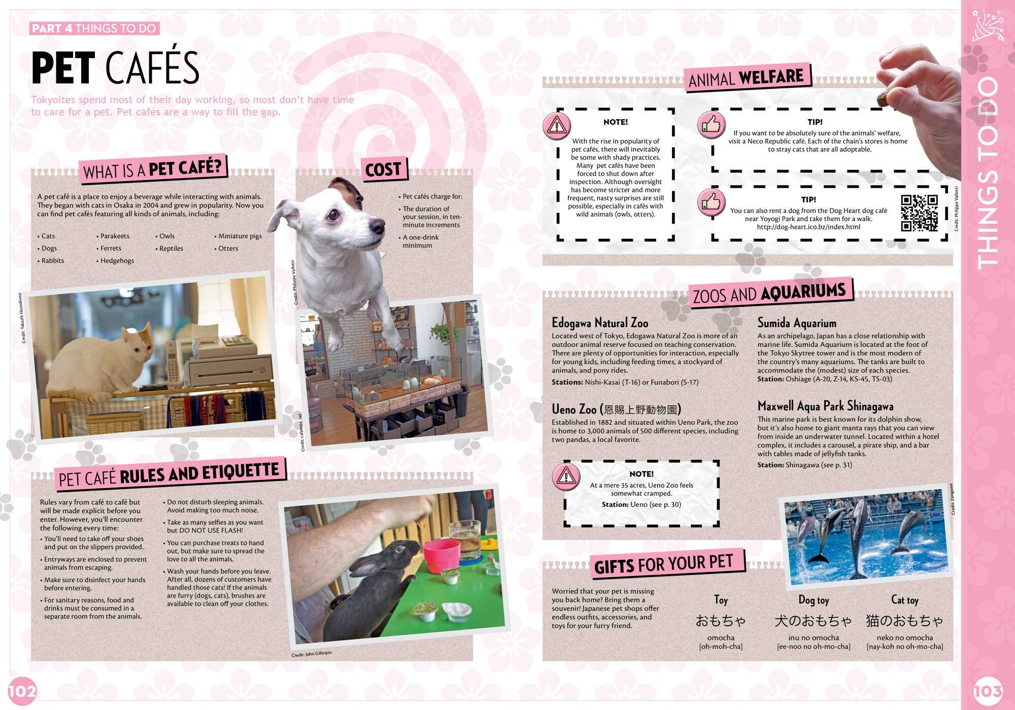 Tokyo Tourist Survival Guide